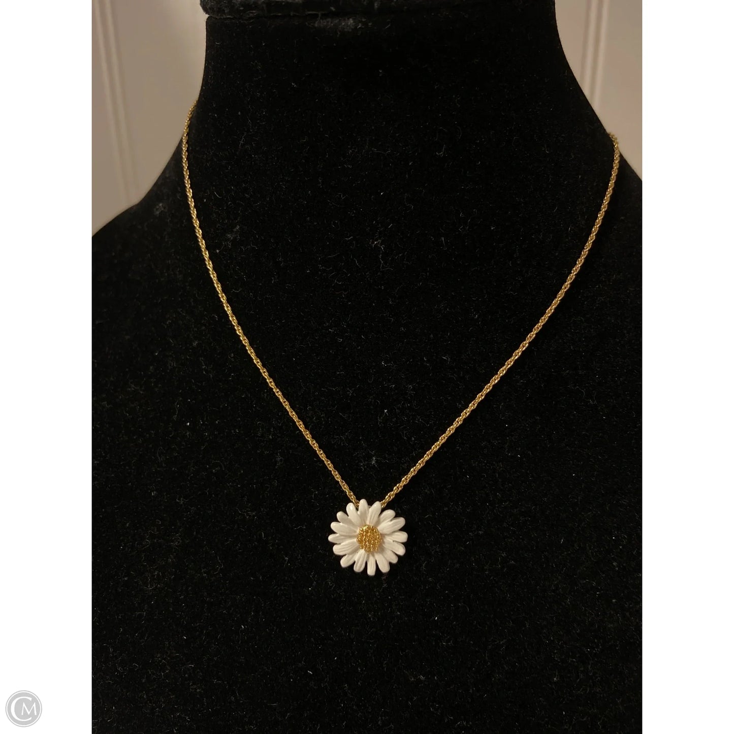 Necklace Chain By Clothes Mentor