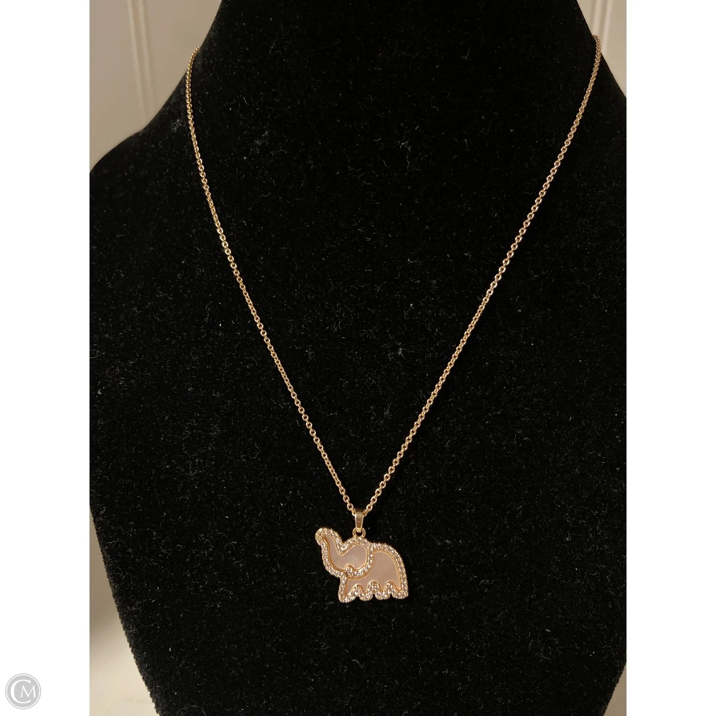 Necklace Chain By Clothes Mentor