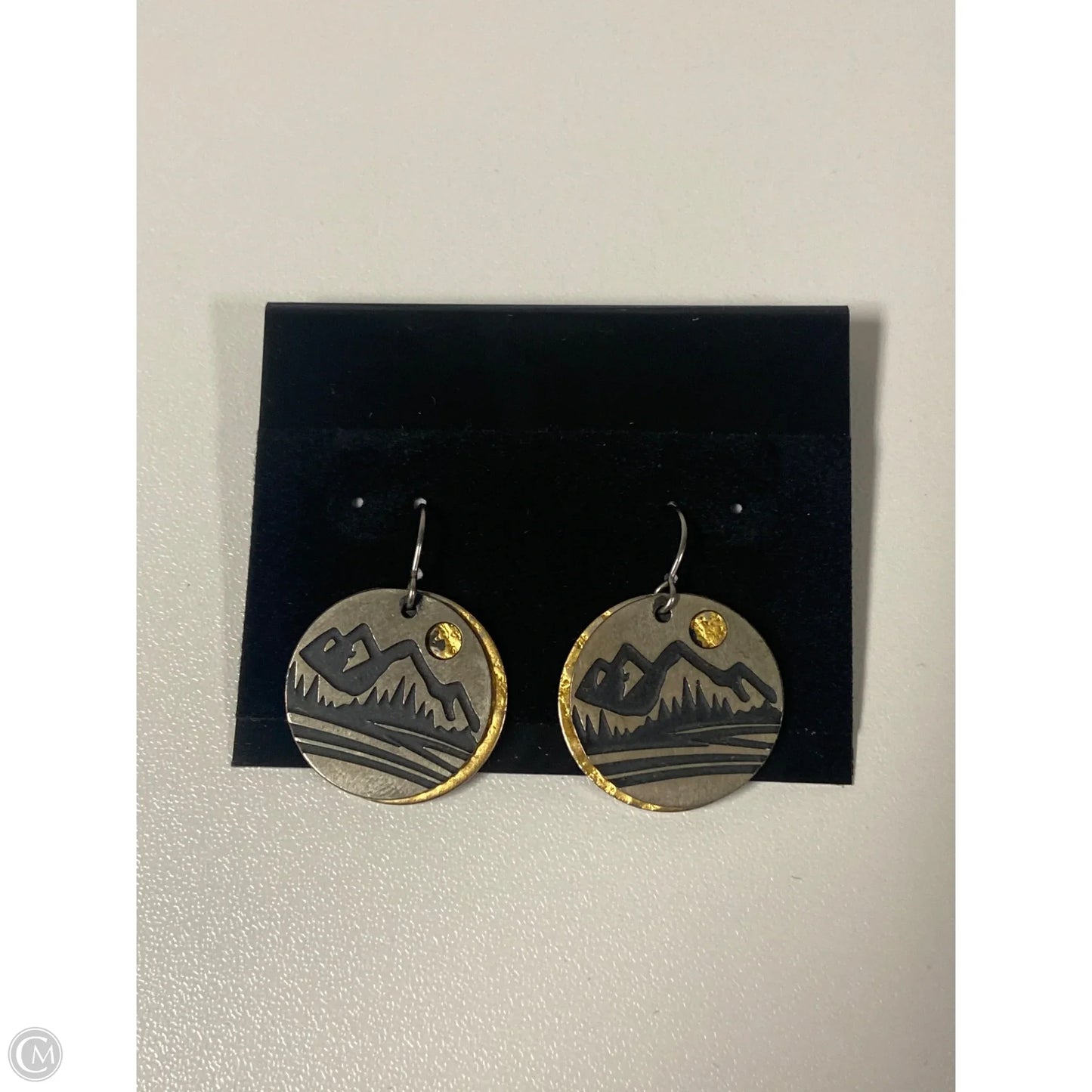 Earrings Dangle/drop By Clothes Mentor