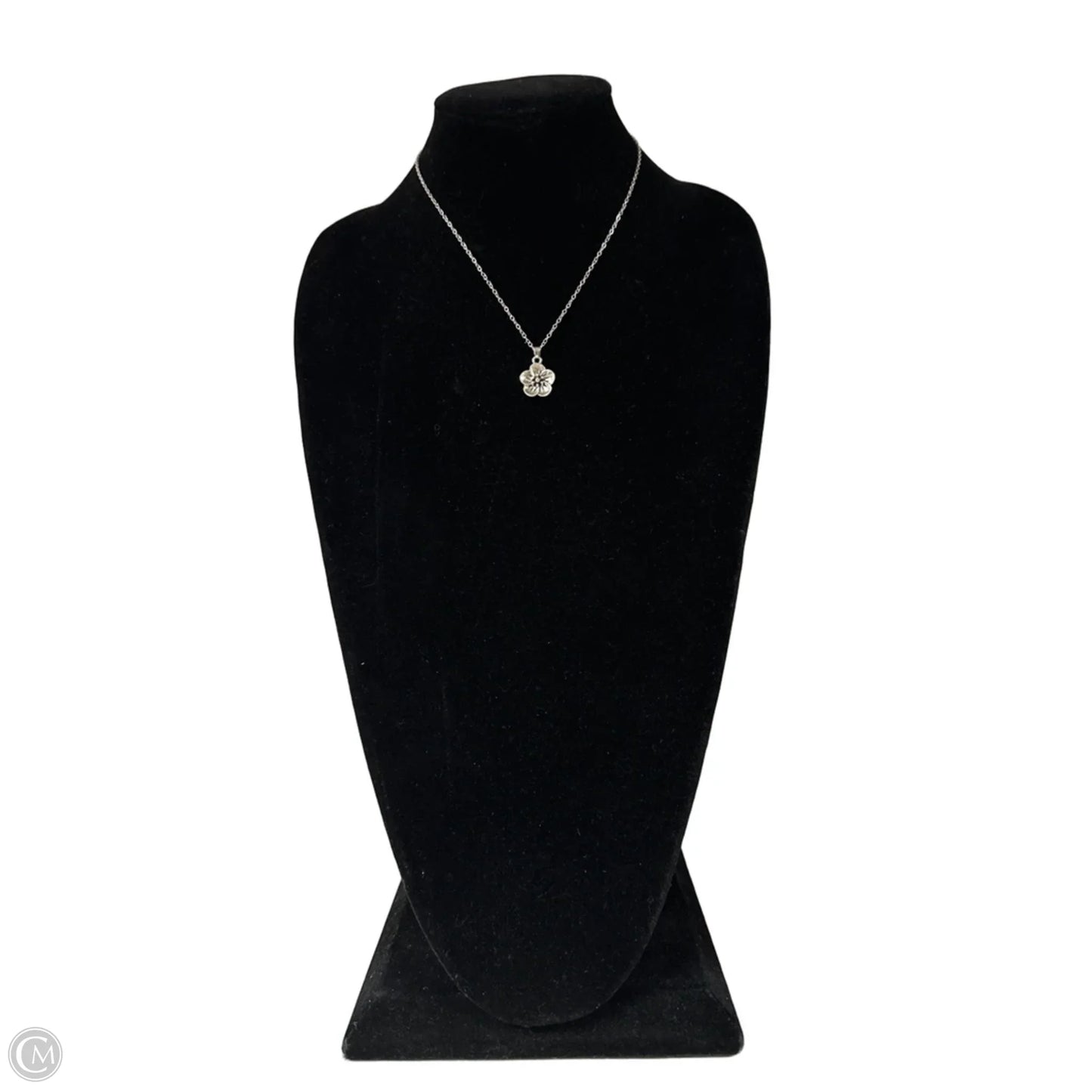 Necklace Chain By Clothes Mentor