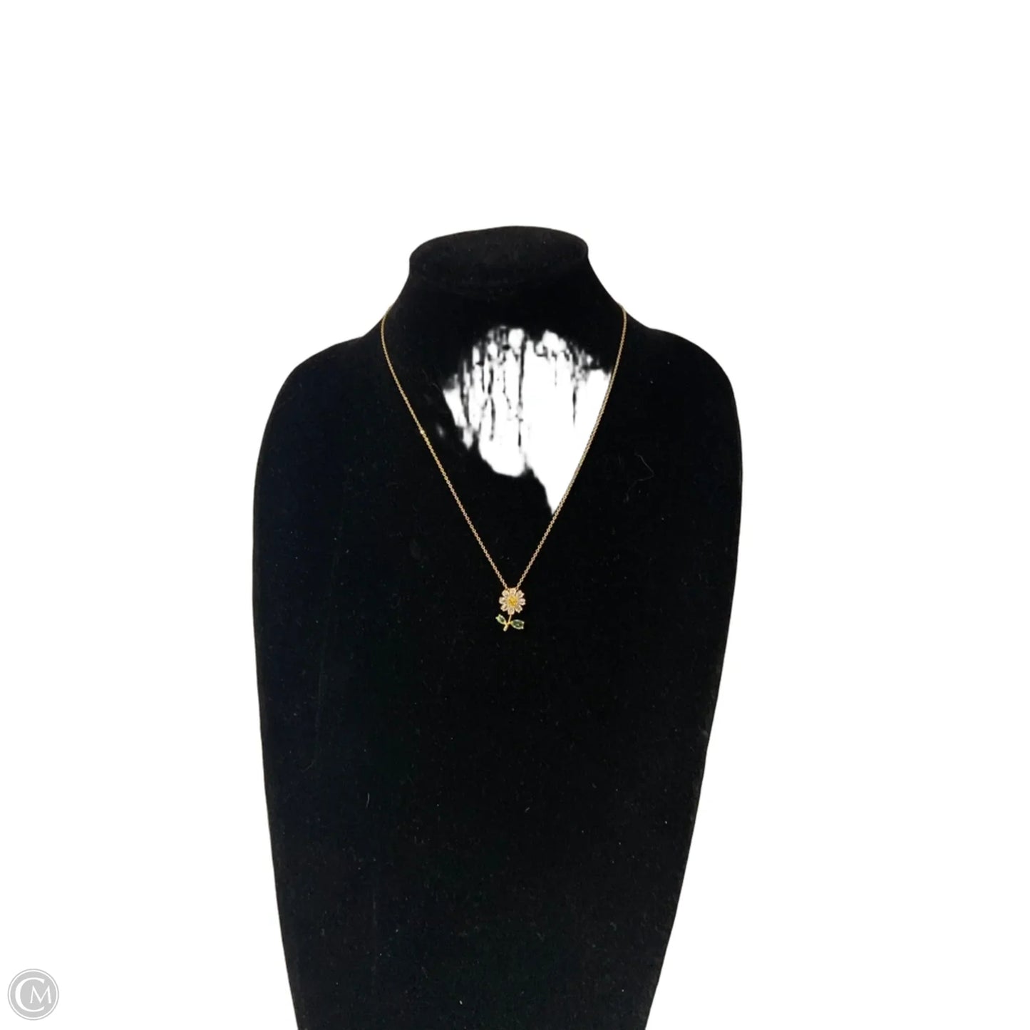 Necklace Chain By Clothes Mentor