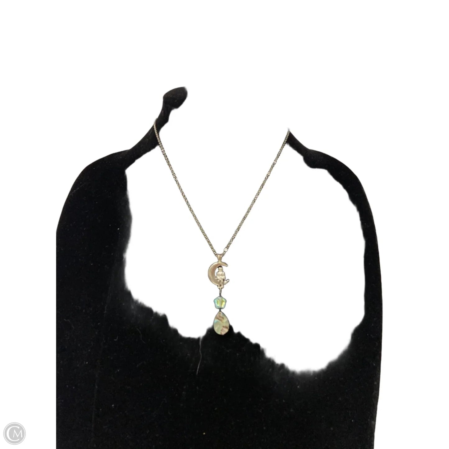 Necklace Pendant By Clothes Mentor