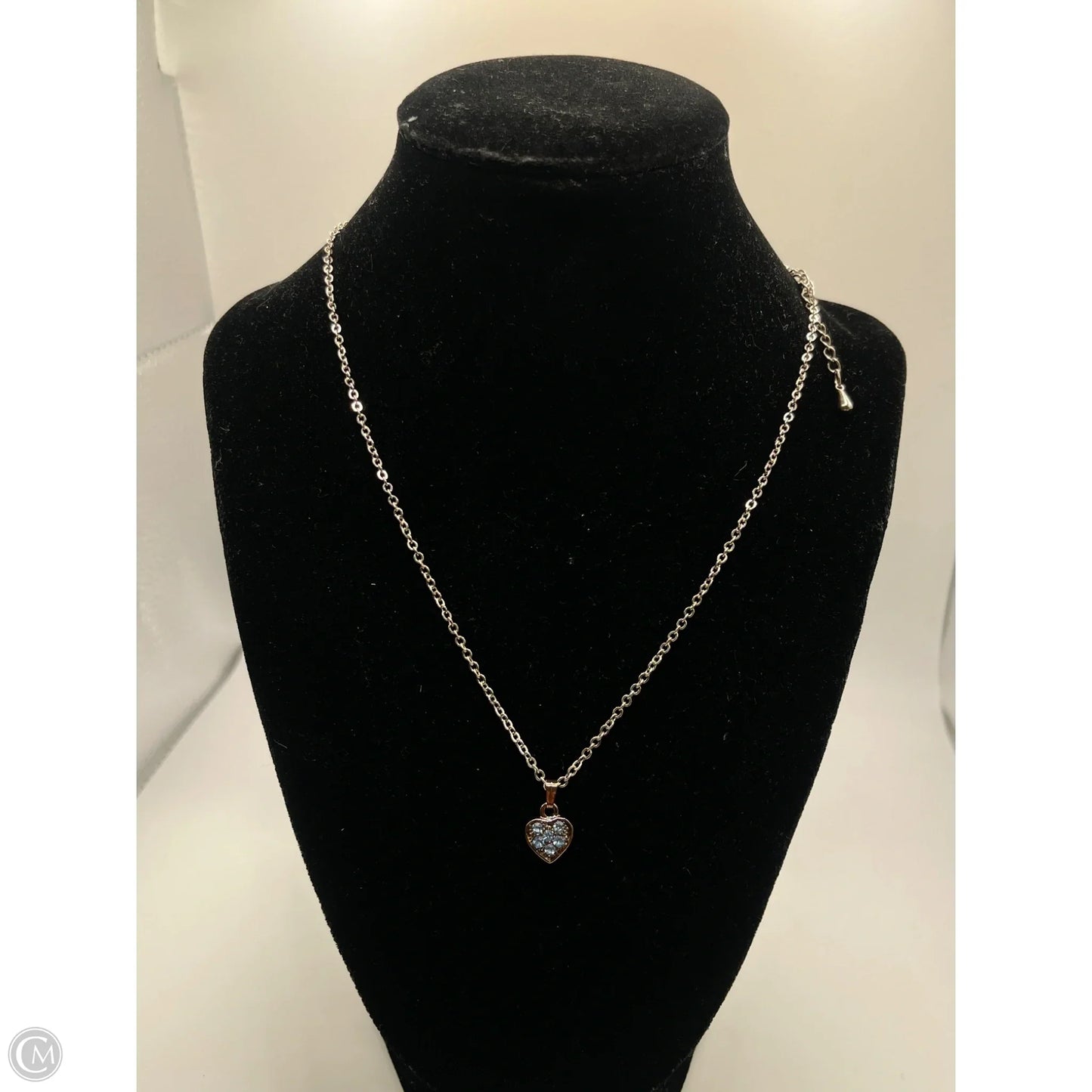 Necklace Chain By Clothes Mentor