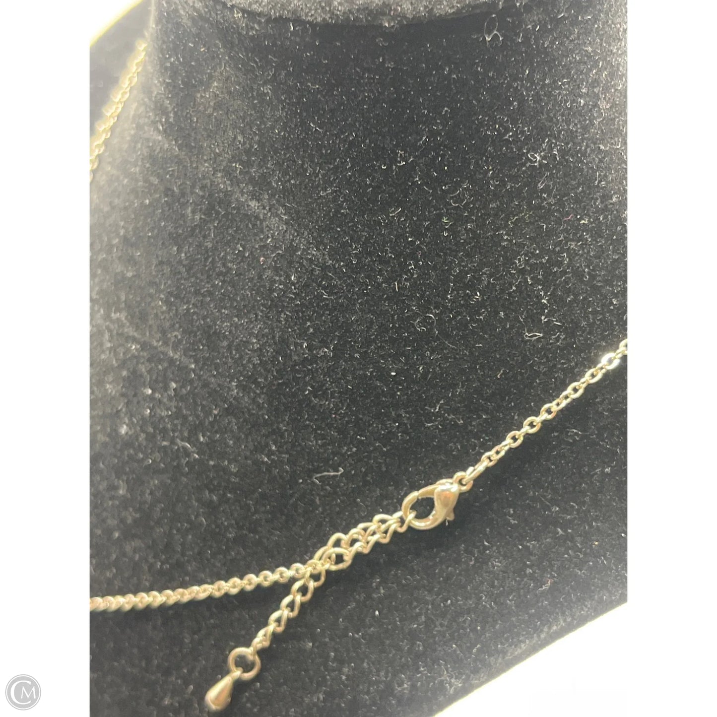 Necklace Chain By Clothes Mentor