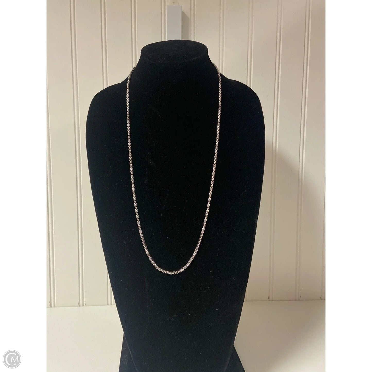 Necklace Chain By Clothes Mentor