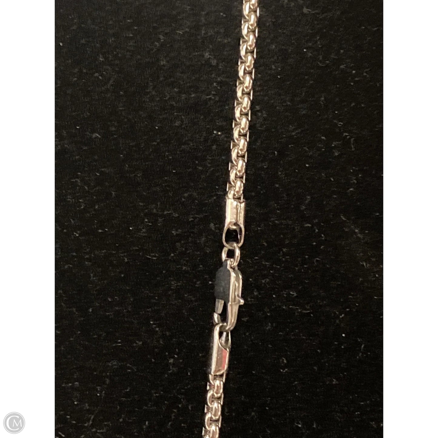 Necklace Chain By Clothes Mentor