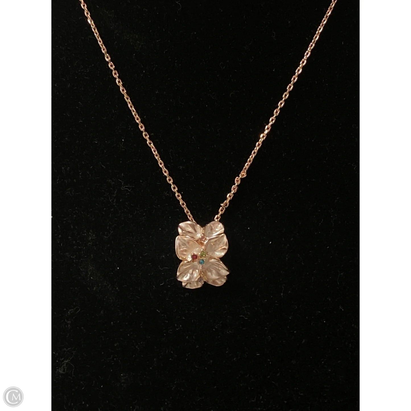 Necklace Chain By Clothes Mentor