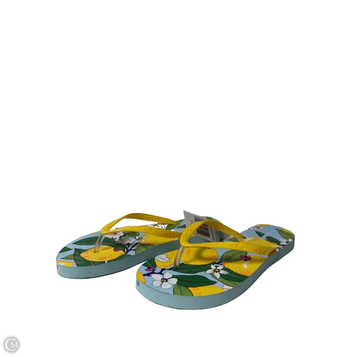 Sandals Flip Flops By Vera Bradley In Blue & Yellow, Size: 7.5