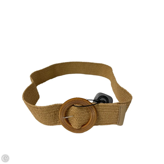 Belt By Clothes Mentor