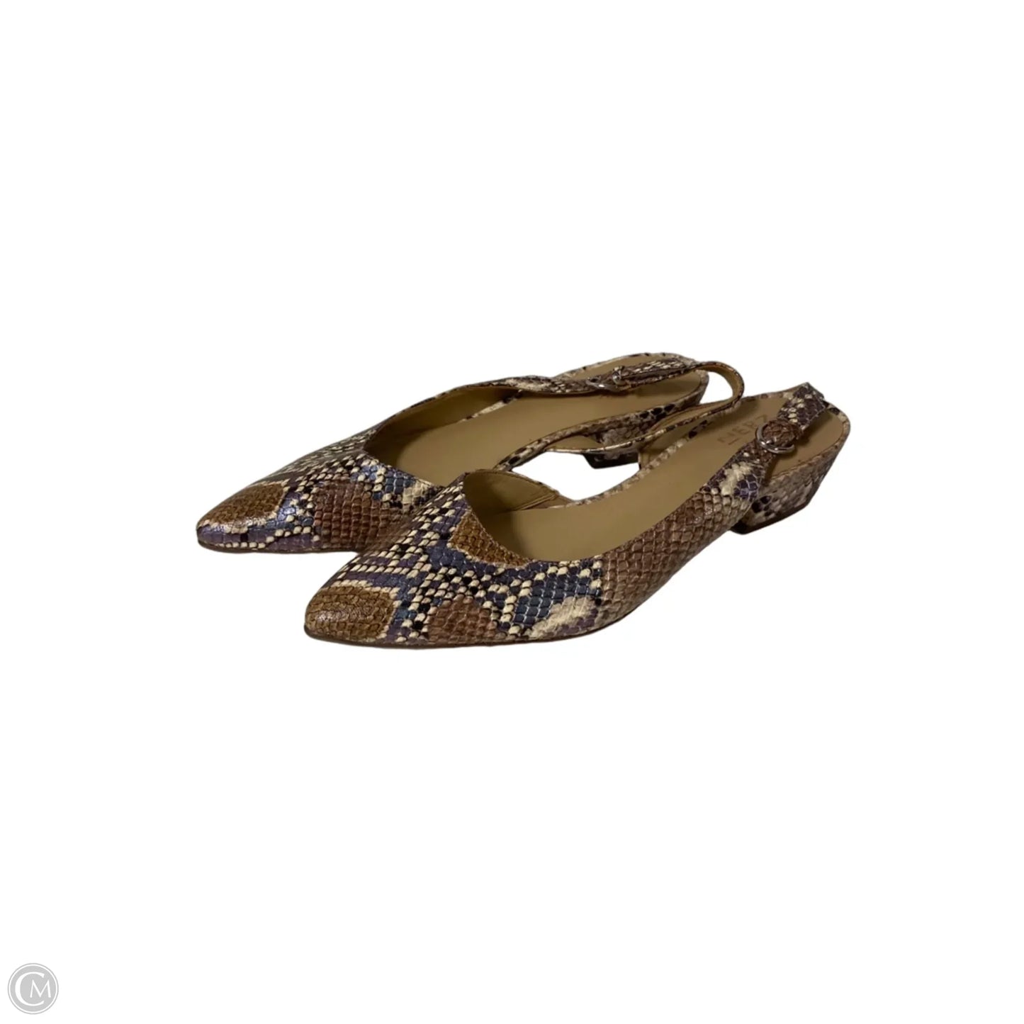 Shoes Flats By Naturalizer In Animal Print, Size: 7.5
