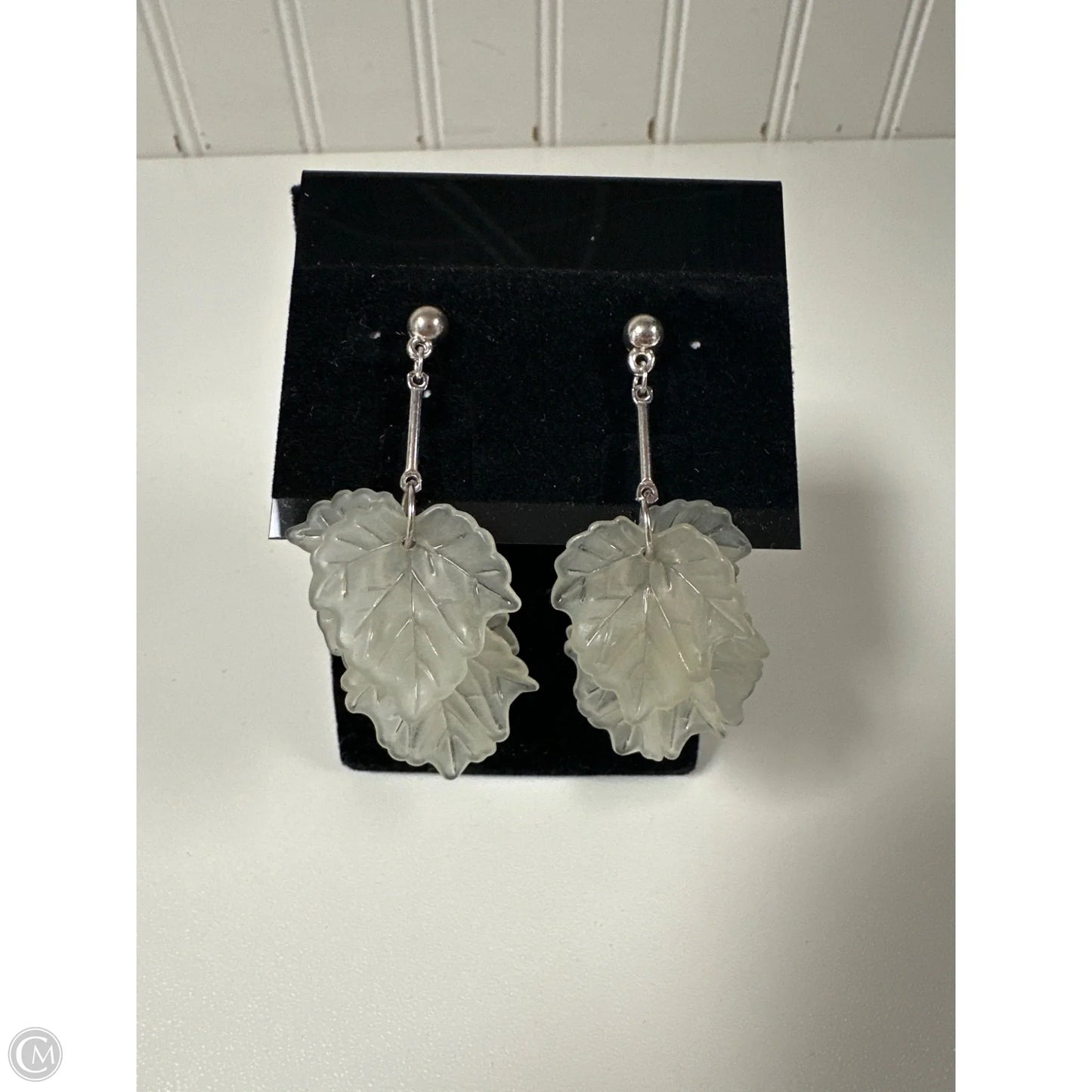 Earrings Dangle/drop By Clothes Mentor