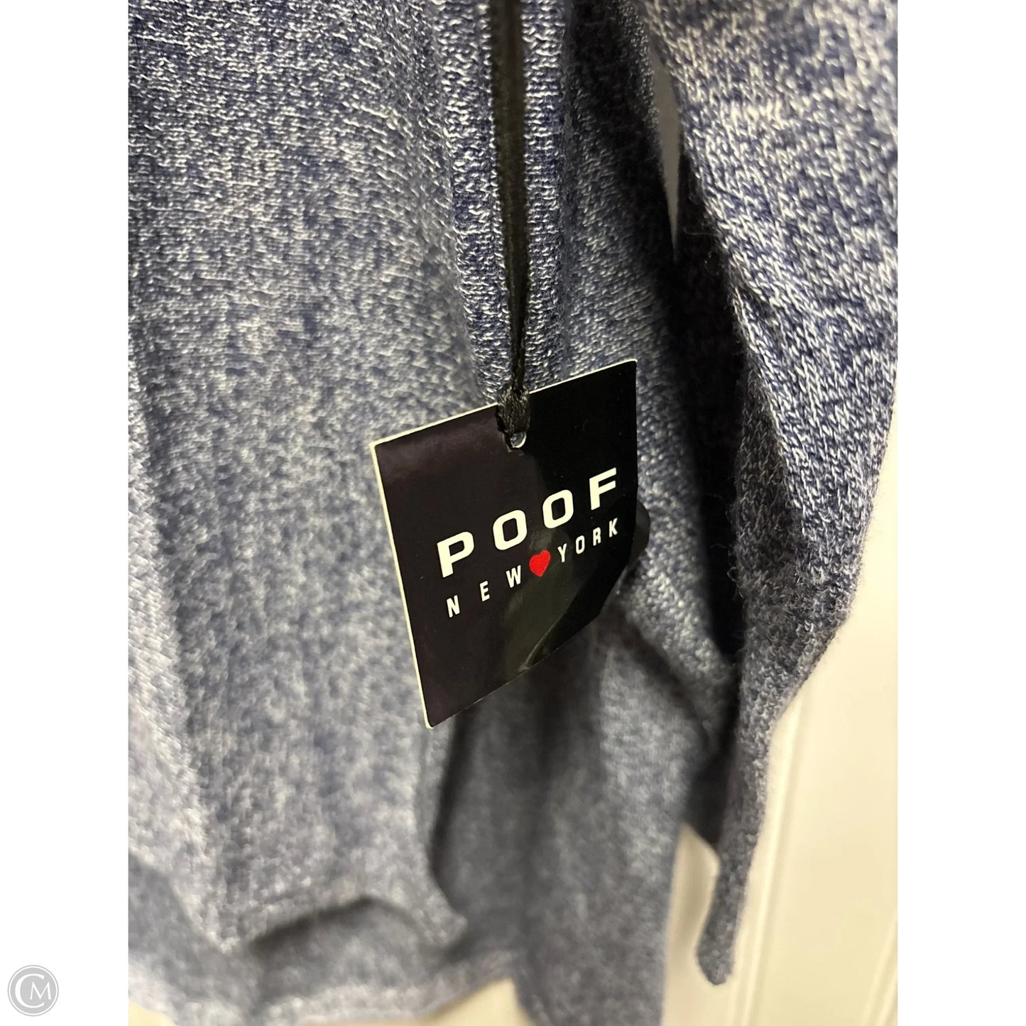 Sweater By Poof In Blue, Size: L
