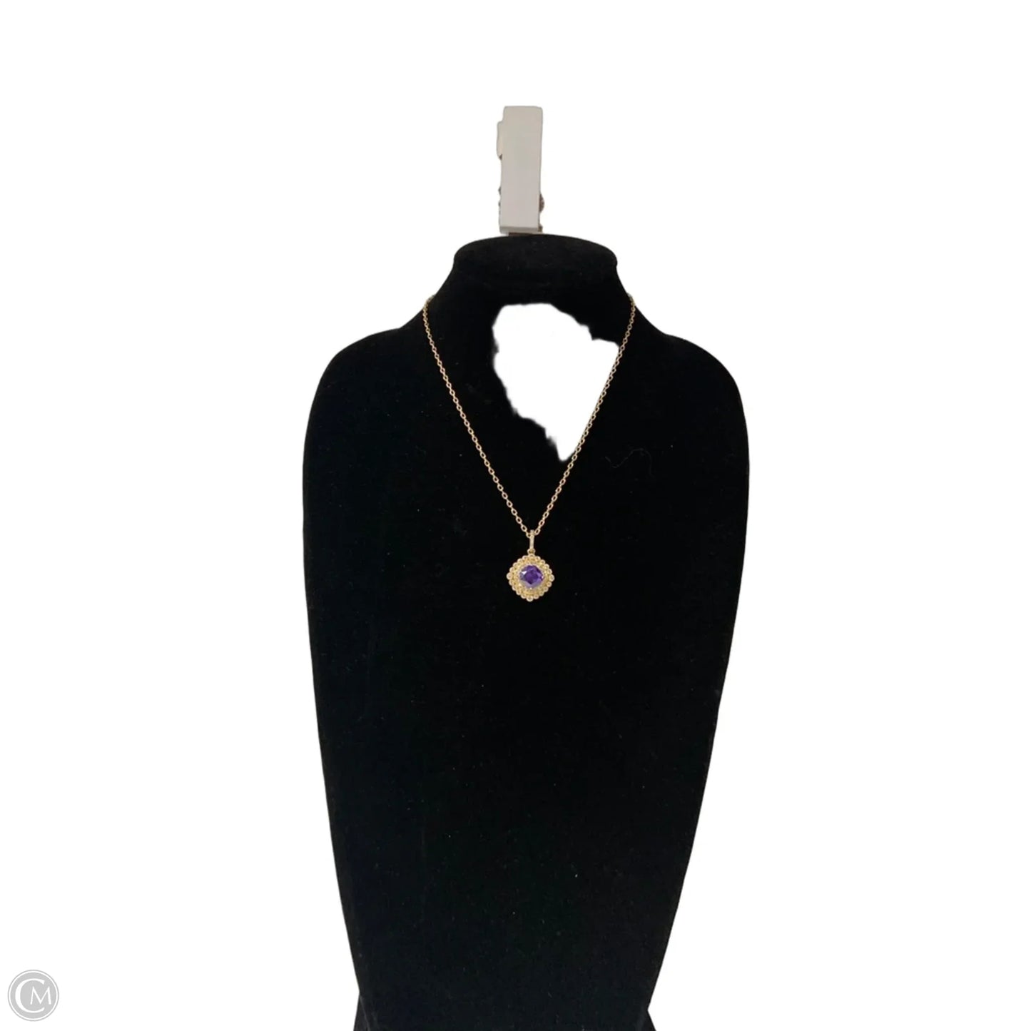 Necklace Pendant By Clothes Mentor, Size: 1