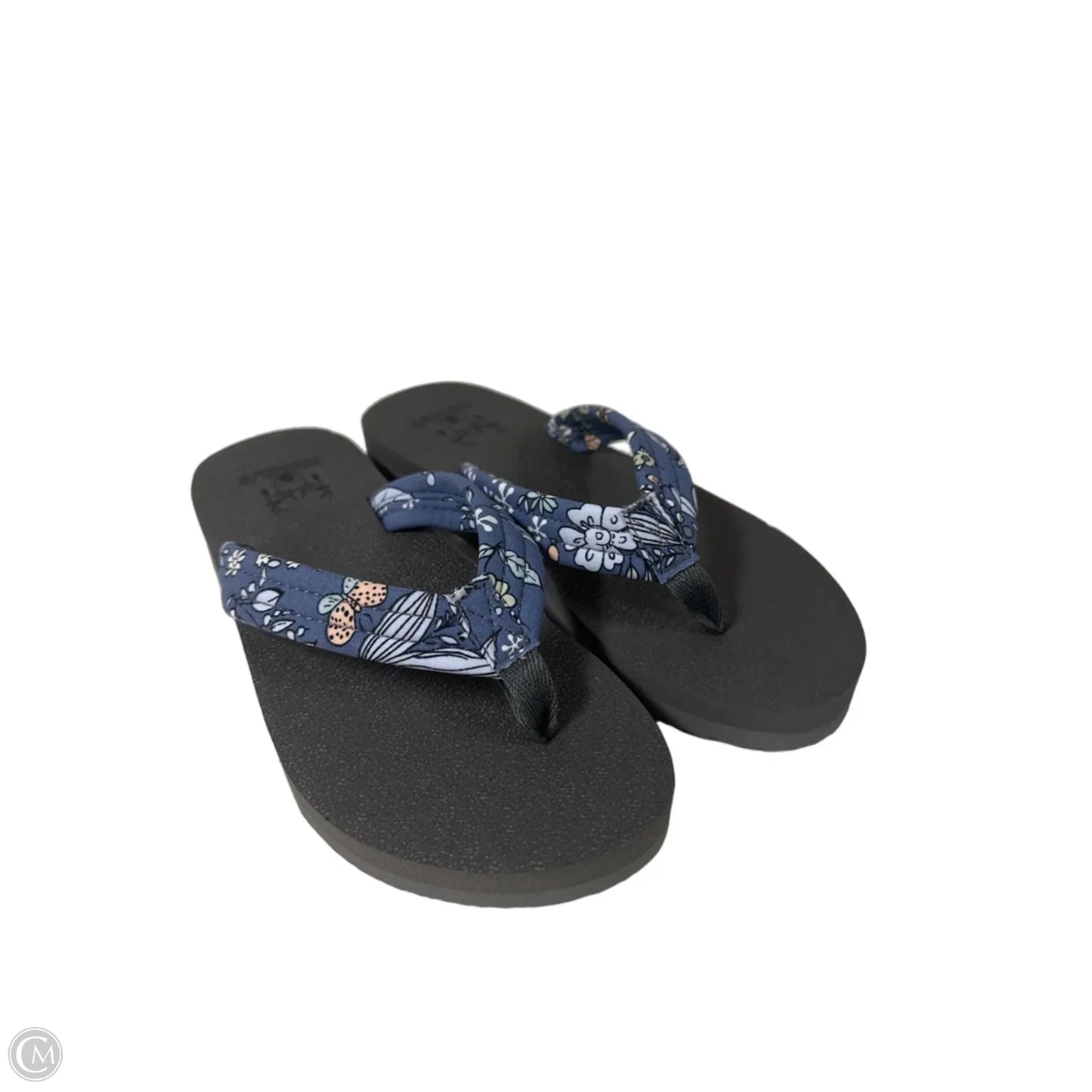 Sandals Flip Flops By Clothes Mentor In Blue, Size: 5