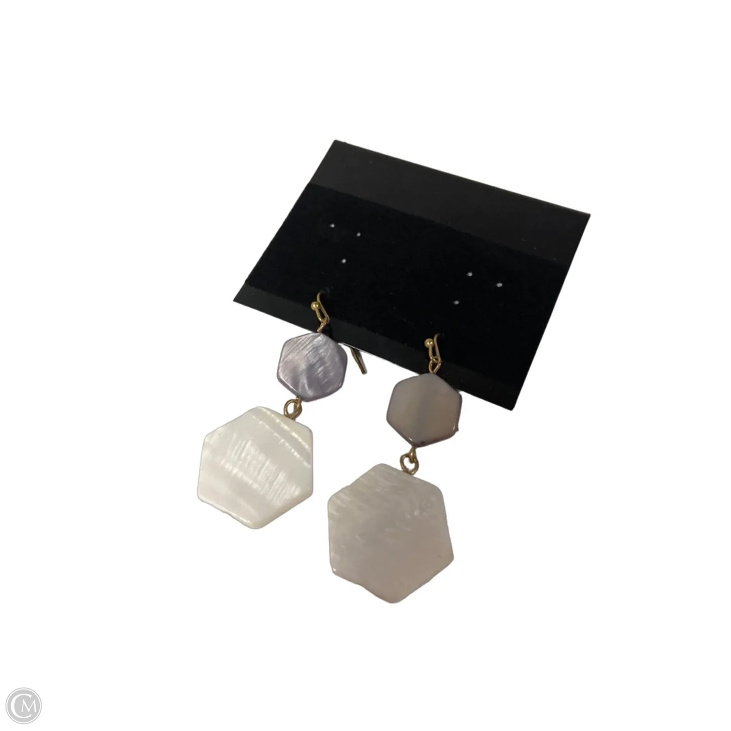 Earrings Dangle/drop By Clothes Mentor, Size: 1
