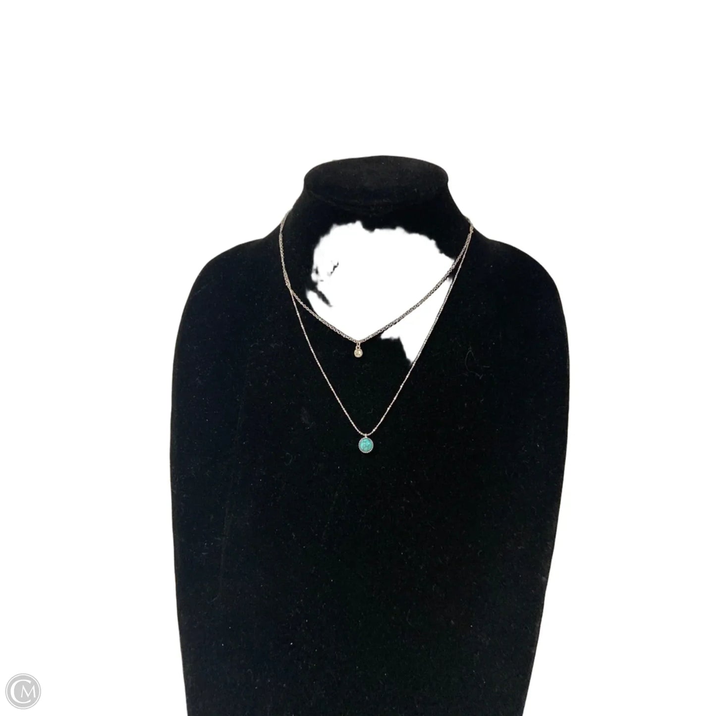 Necklace Layered By Time And Tru, Size: 1