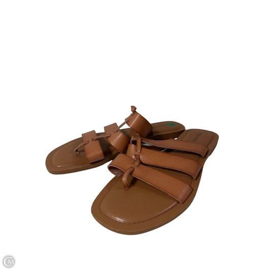 Sandals Flip Flops By Maurices In Tan, Size: 9