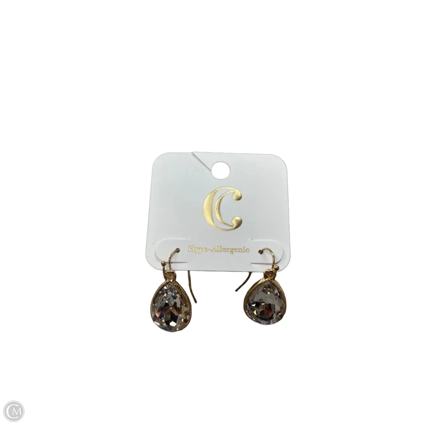 Earrings Dangle/drop By Charming Charlie, Size: 1