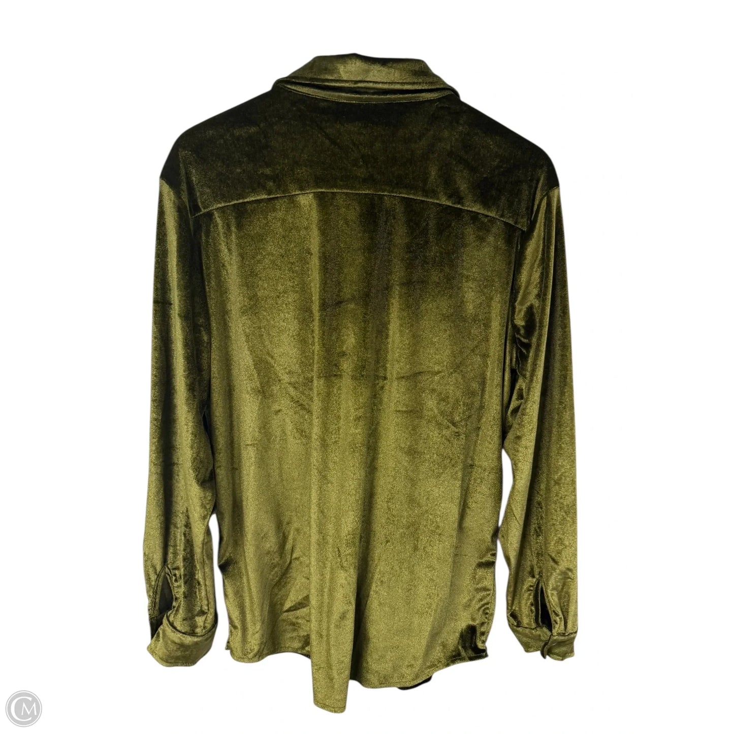 Blouse Long Sleeve By Clothes Mentor In Green, Size: L