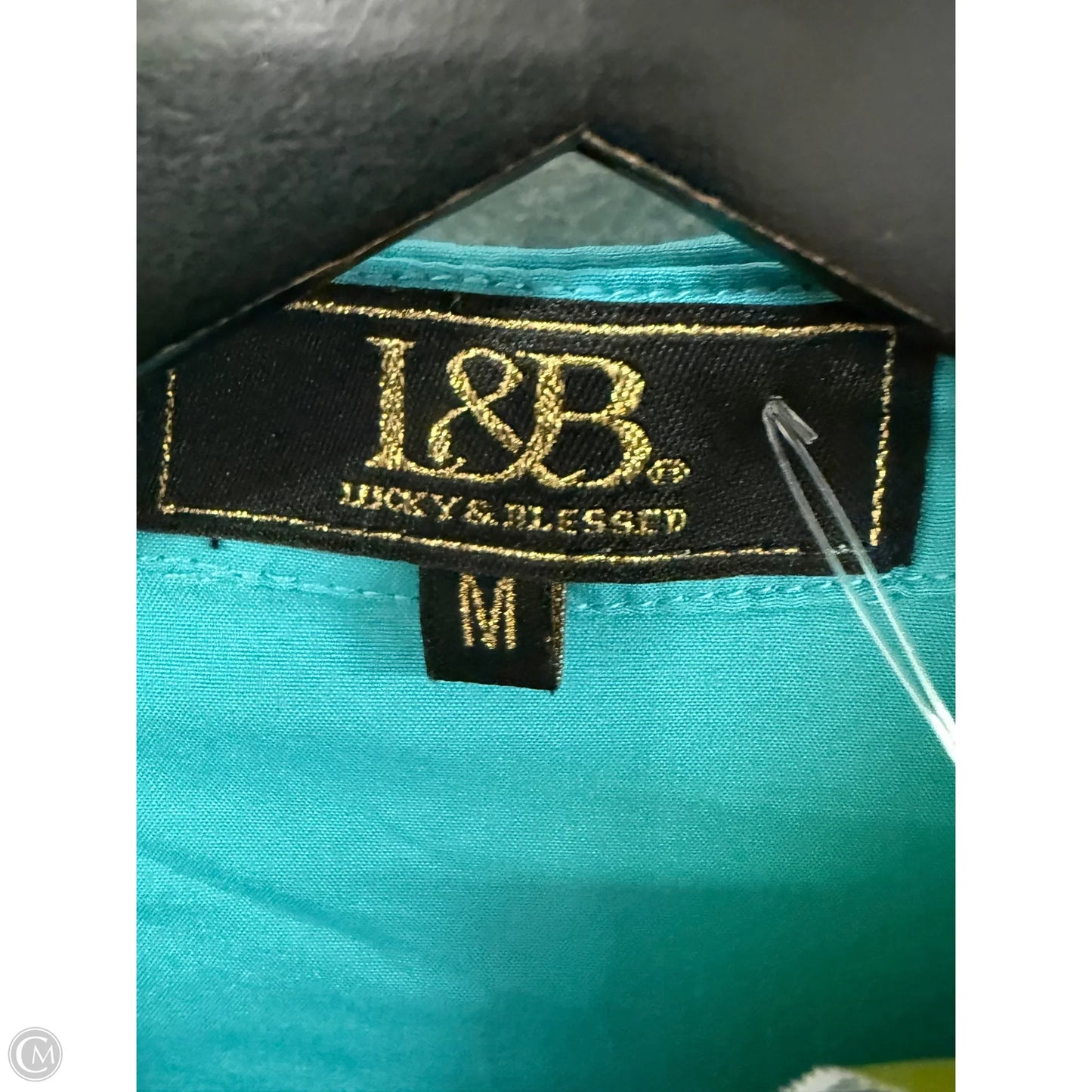 Blouse Long Sleeve By Lucky & Blessed In Blue, Size: M