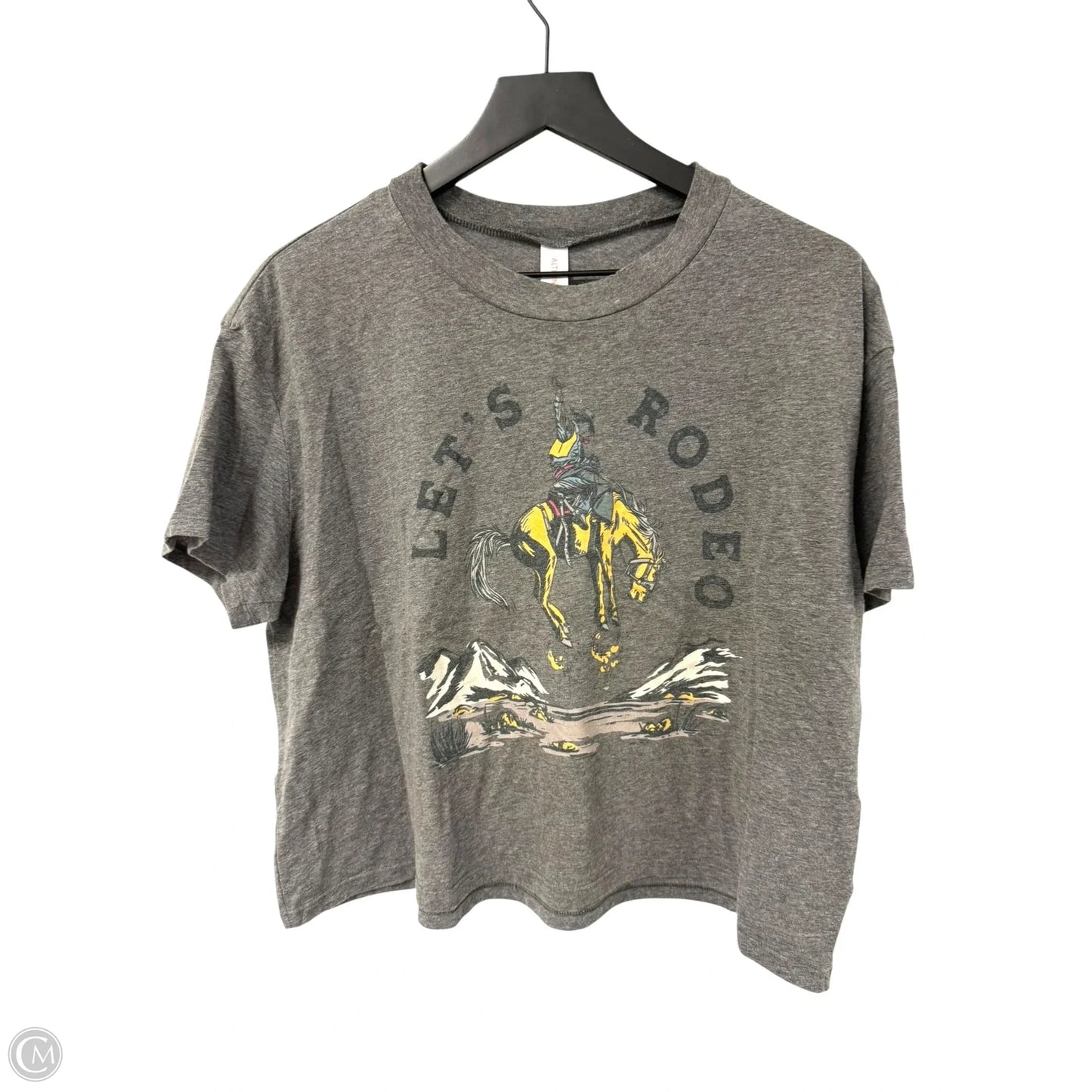 Top Short Sleeve Basic By Clothes Mentor In Grey, Size: Xl