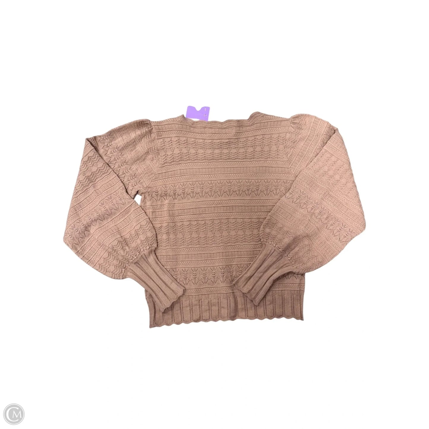 Sweater By Saltwater Luxe In Tan, Size: S