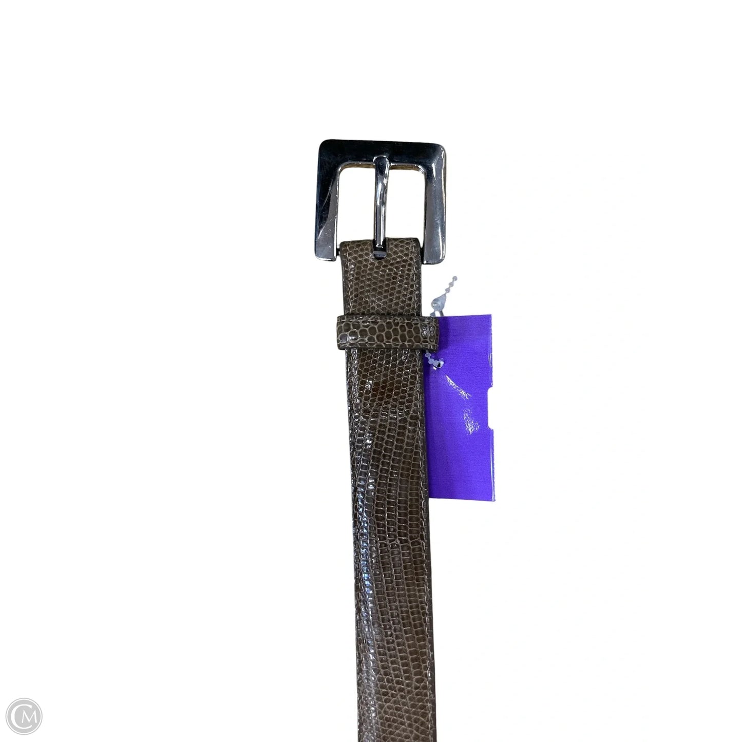 Belt Designer By Coach, Size: Medium