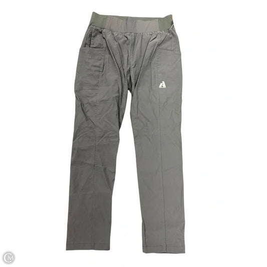Athletic Pants By Eddie Bauer In Grey, Size: 4