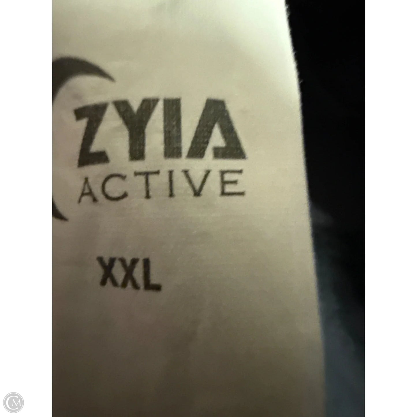 Athletic Pants By Zyia In Grey, Size: Xxl
