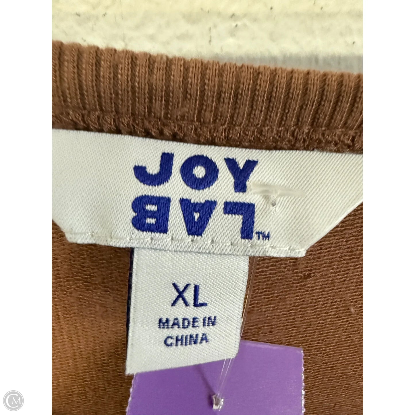Athletic Top Long Sleeve Crewneck By Joy Lab In Brown, Size: Xl