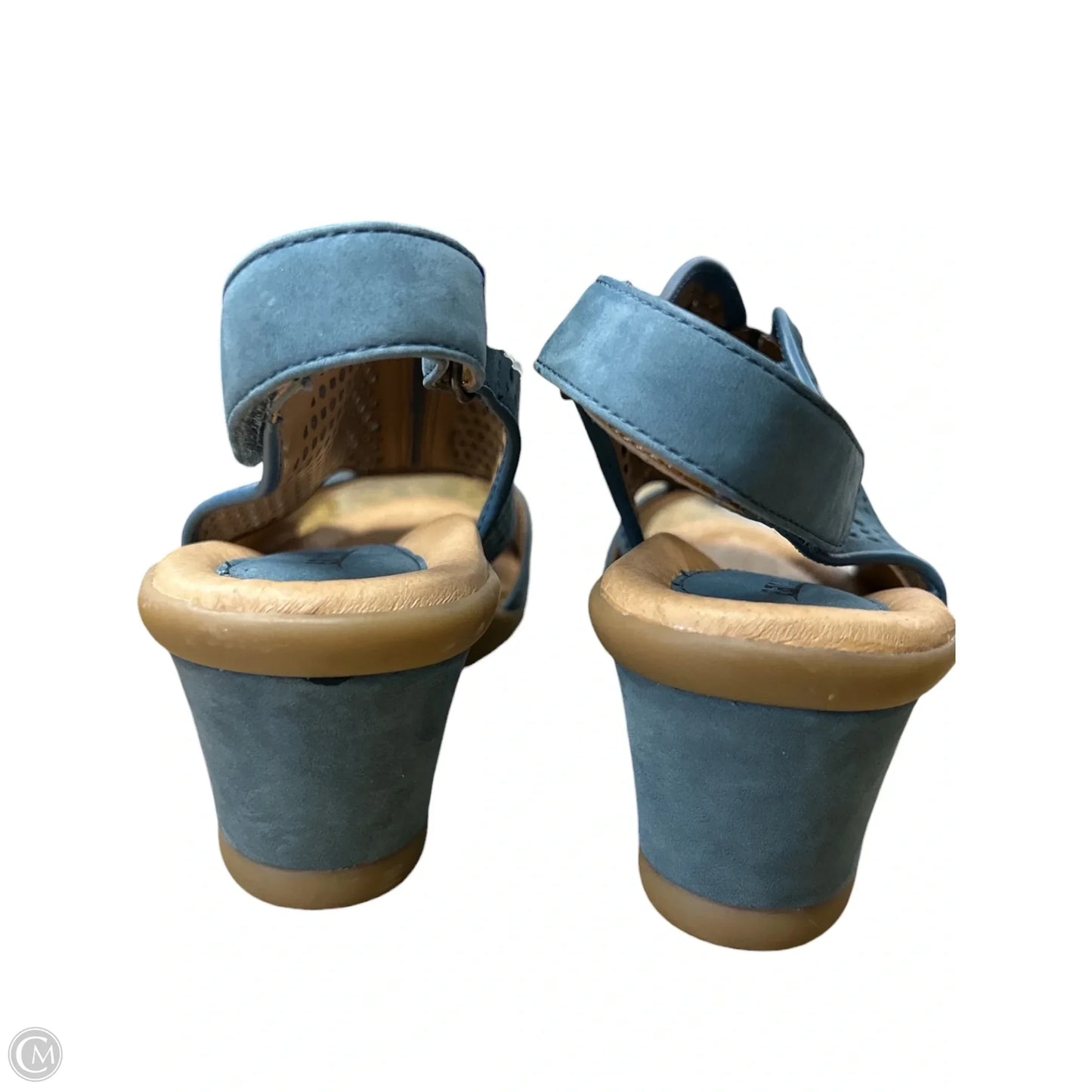 Sandals Heels Wedge By Earth In Blue, Size: 8