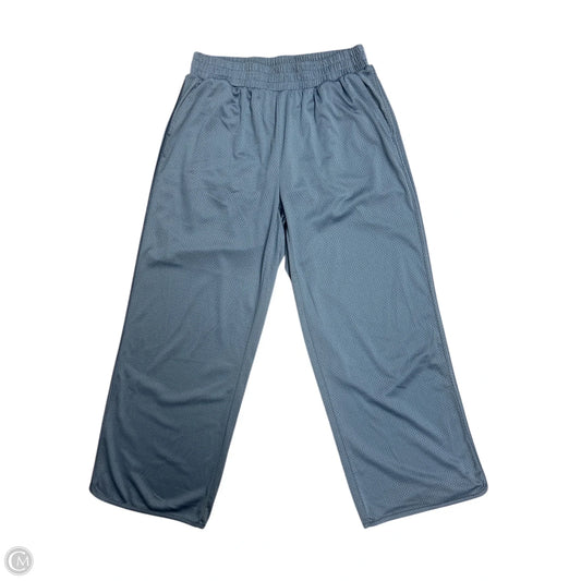 Athletic Pants By Aerie In Blue, Size: L