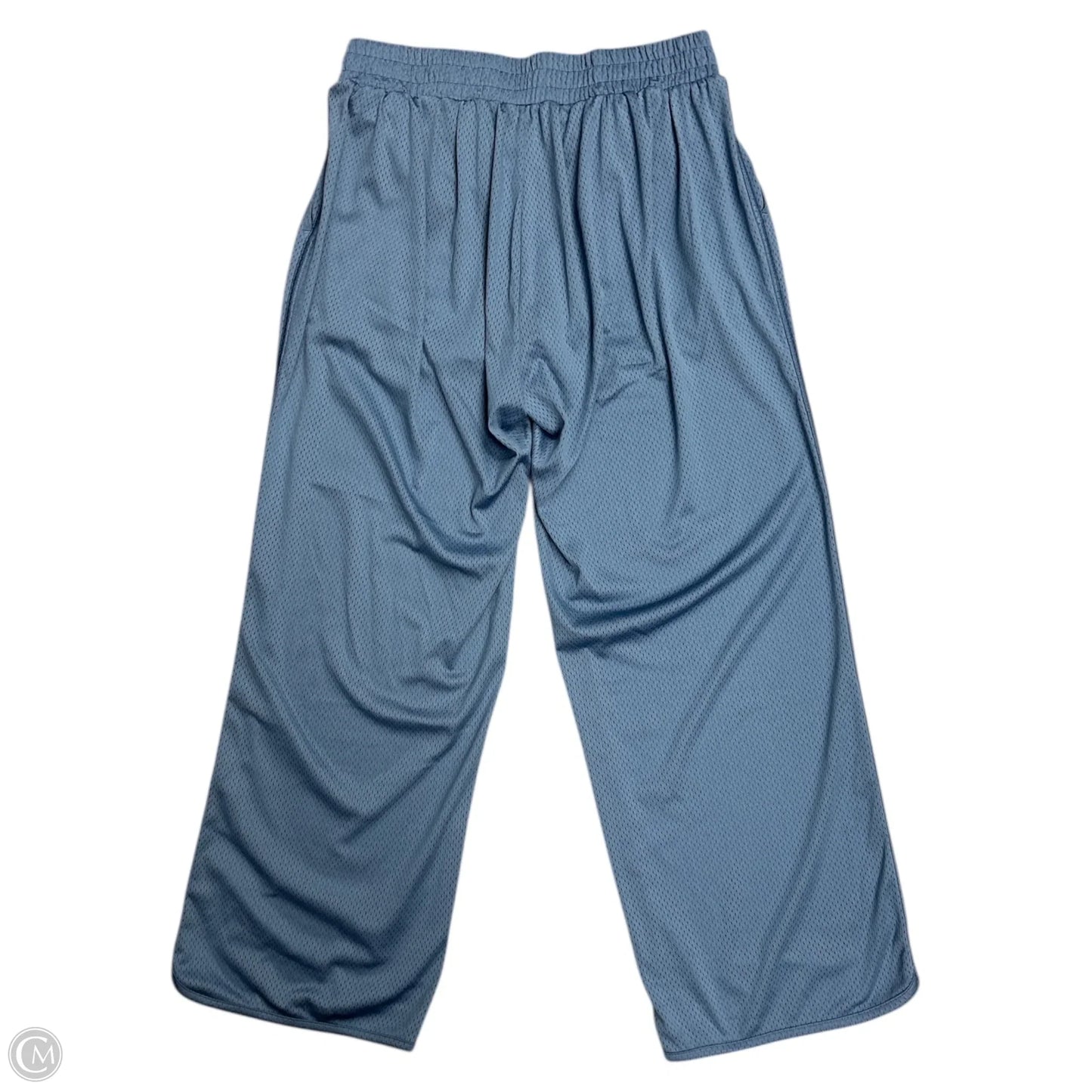 Athletic Pants By Aerie In Blue, Size: L