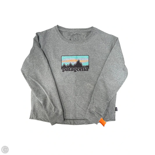 Sweatshirt Crewneck By Patagonia In Grey, Size: Xl