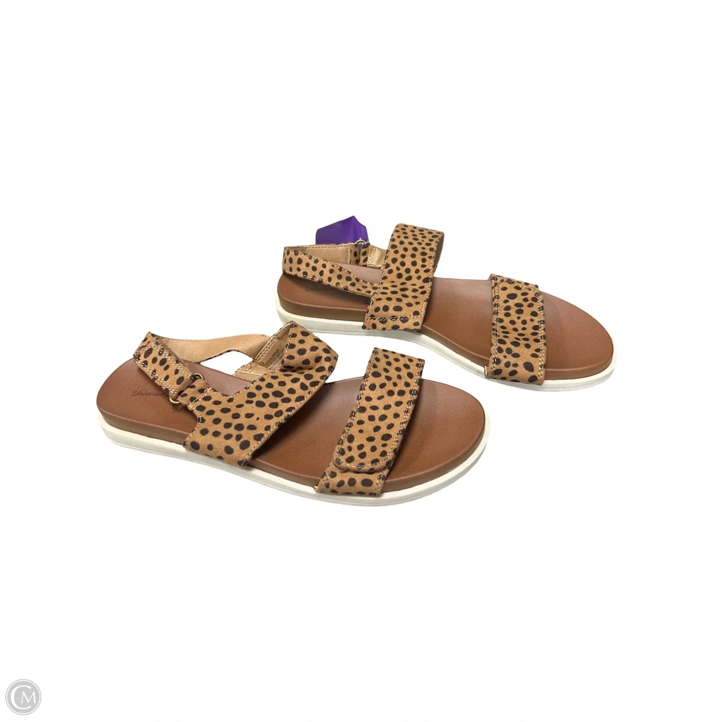 Shoes Sneakers Platform By Blowfish In Cream, Size: 7