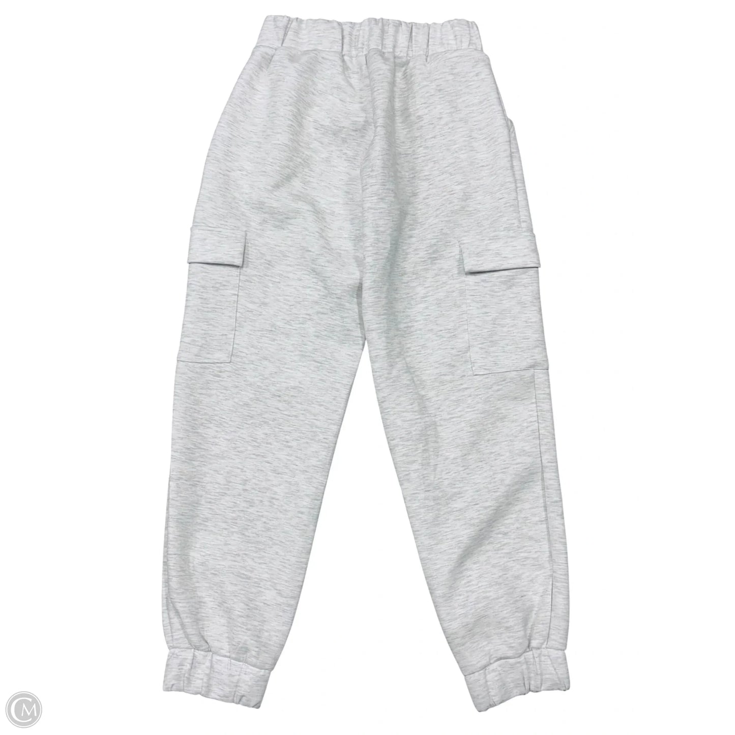 Pants Joggers By Express In Grey, Size: S