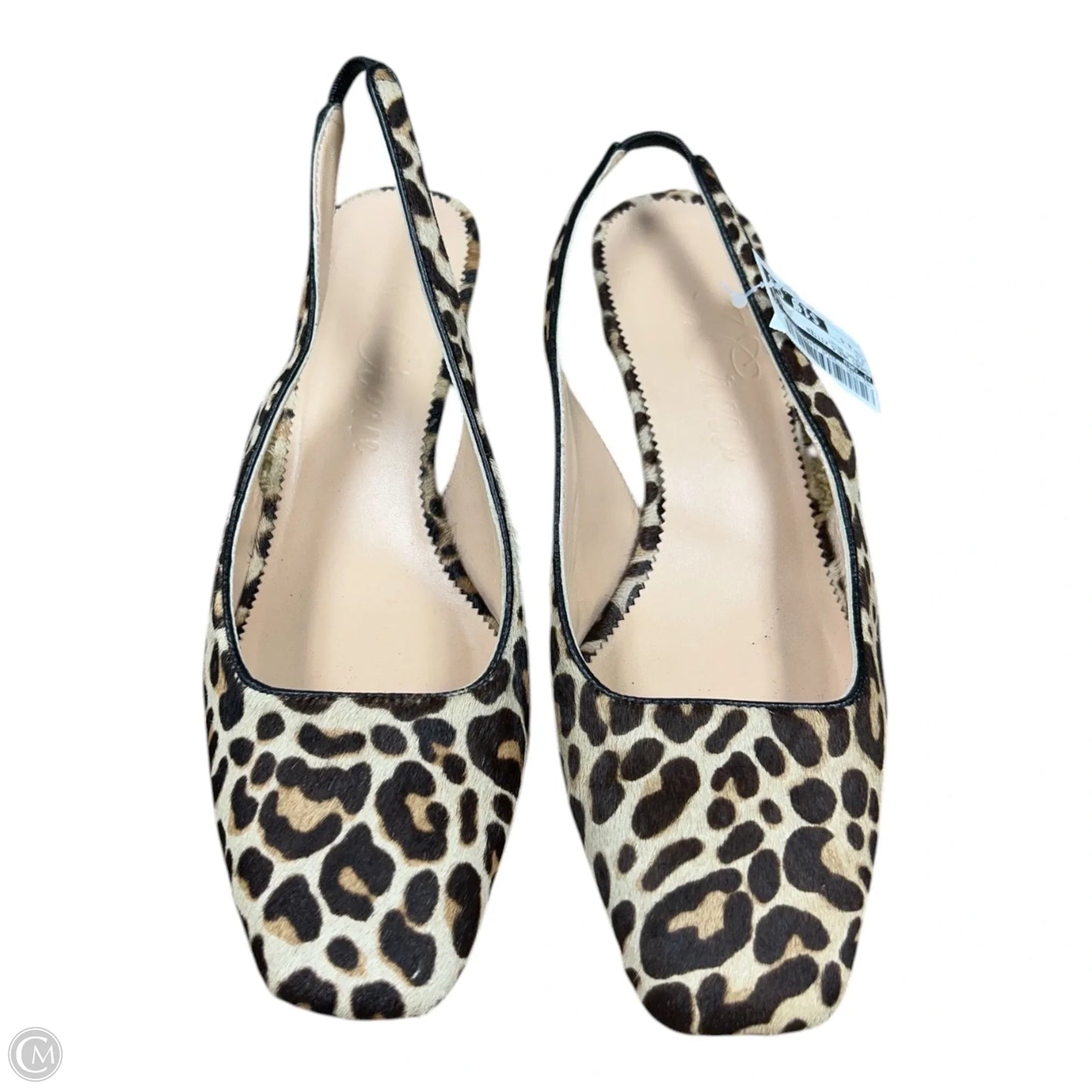 Shoes Heels Kitten By J. Crew In Leopard Print, Size: 8.5
