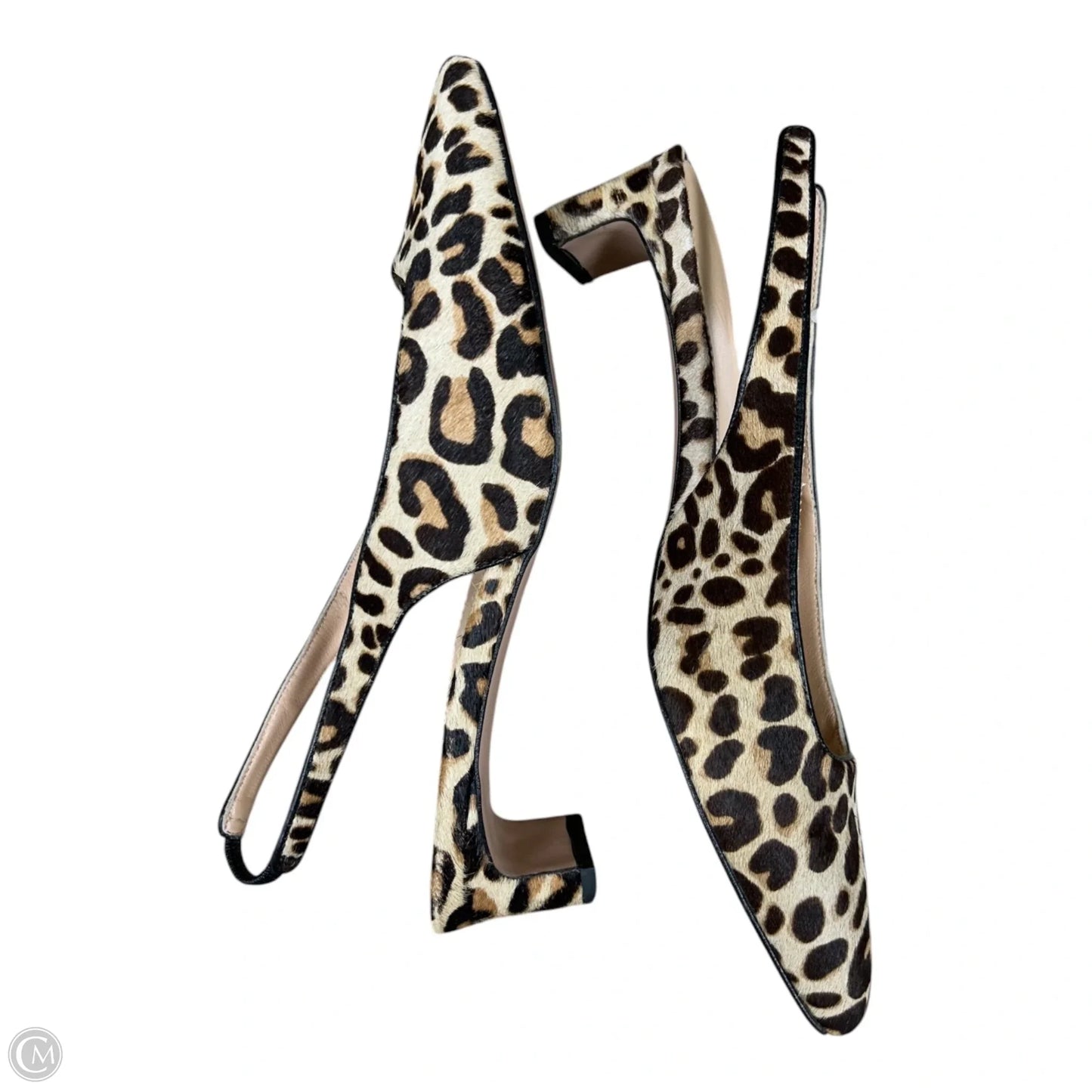 Shoes Heels Kitten By J. Crew In Leopard Print, Size: 8.5