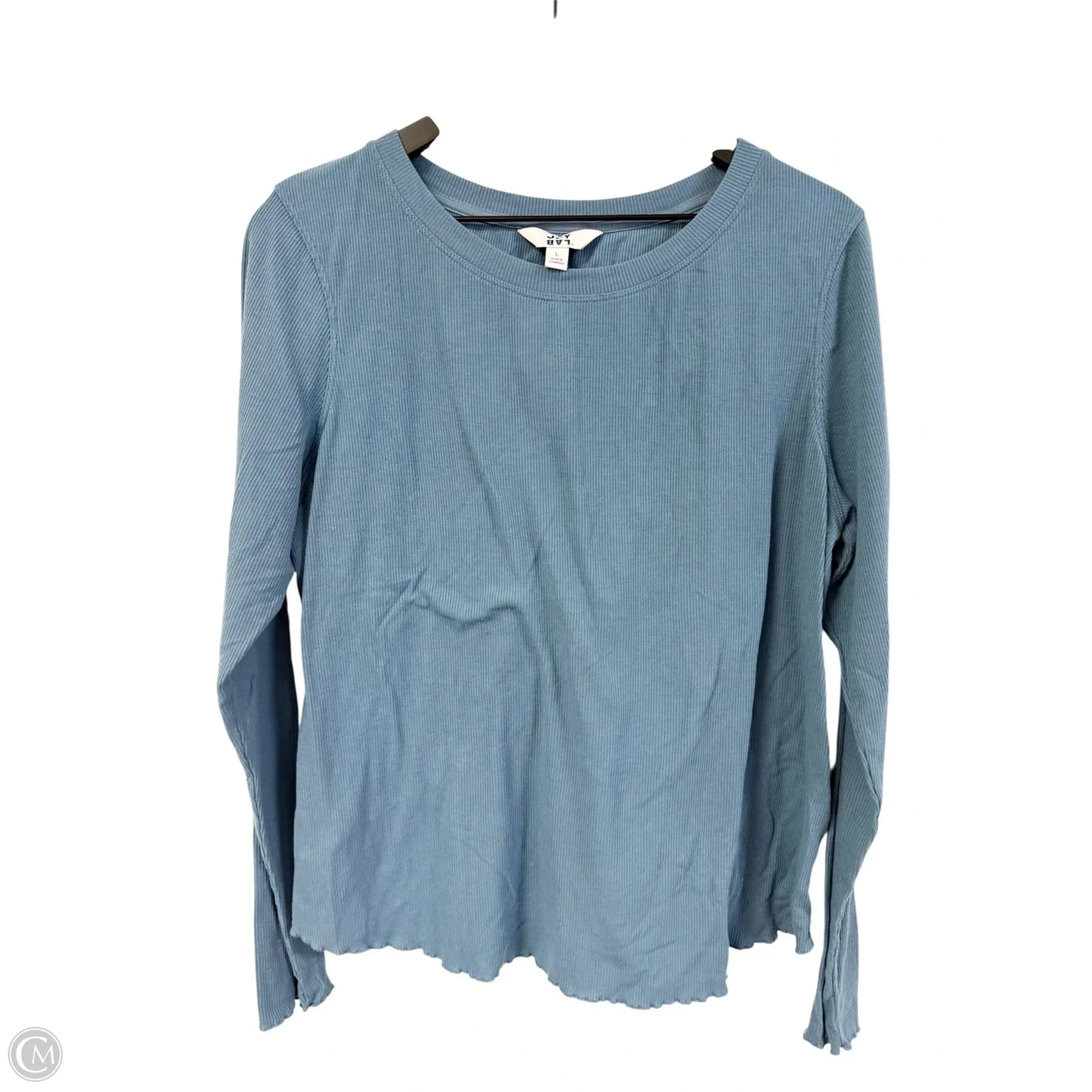Athletic Top Long Sleeve Crewneck By Joy Lab In Blue, Size: L