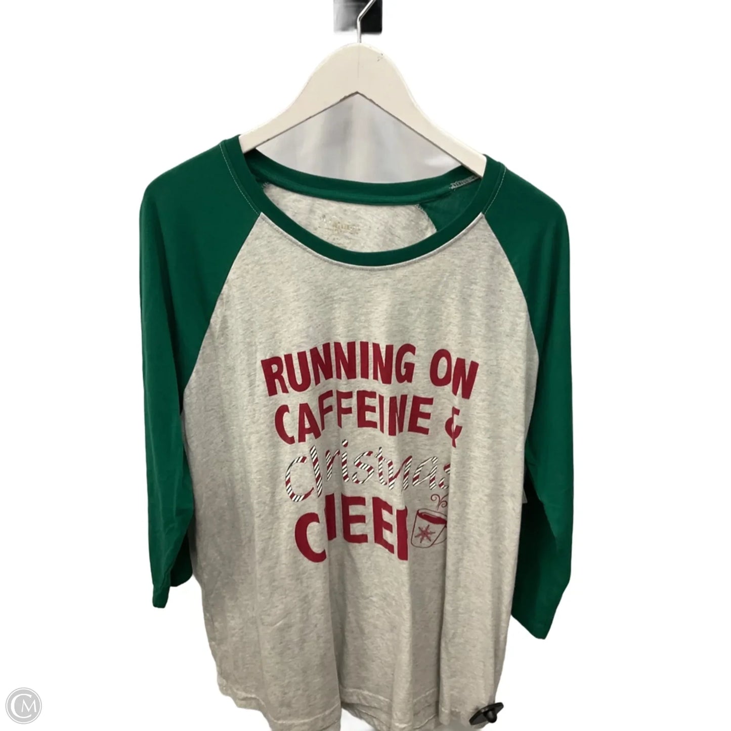 Top Long Sleeve By Natural Reflections In Green & Grey, Size: 1x