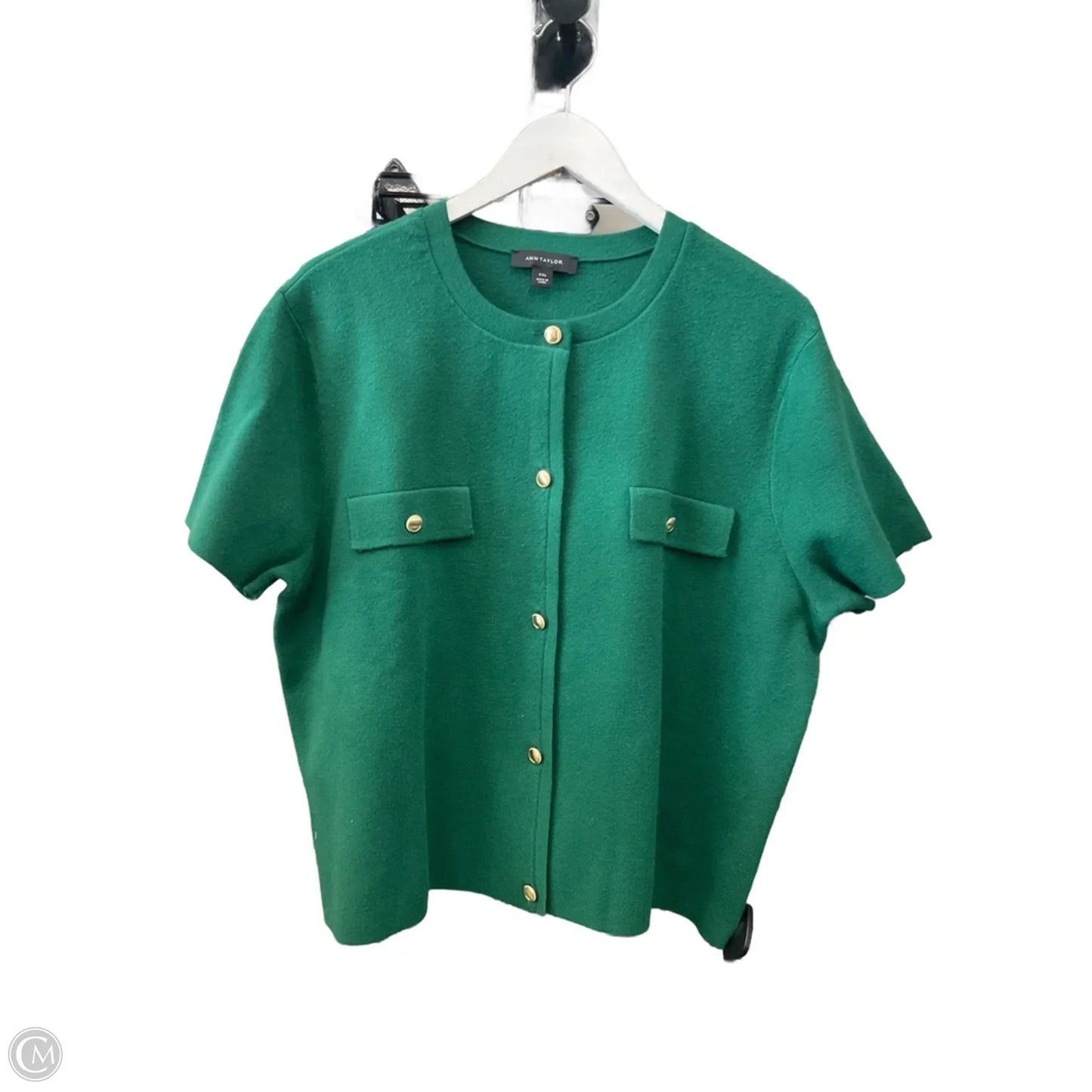 Sweater Short Sleeve By Ann Taylor In Green, Size: Xxl