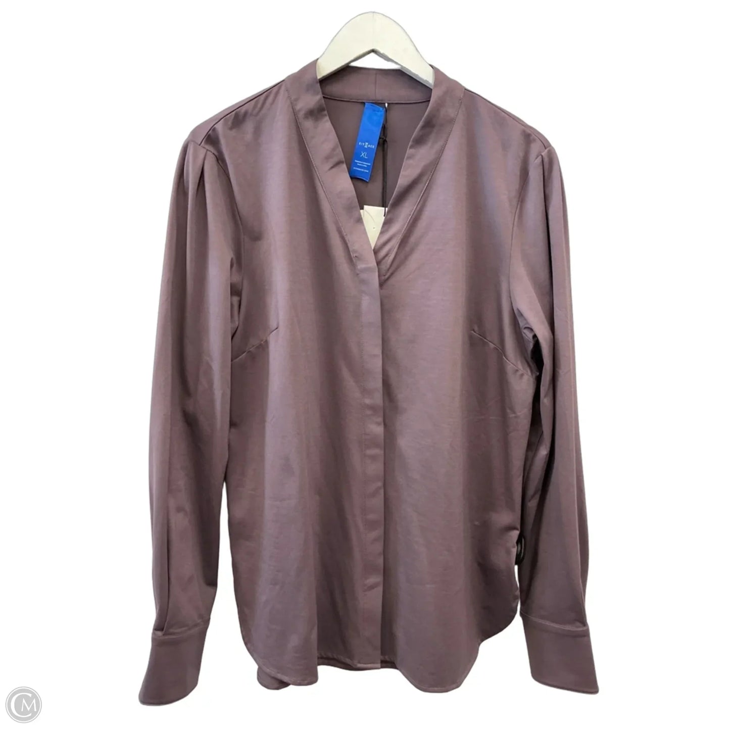 Top Long Sleeve By Clothes Mentor In Purple, Size: Xl
