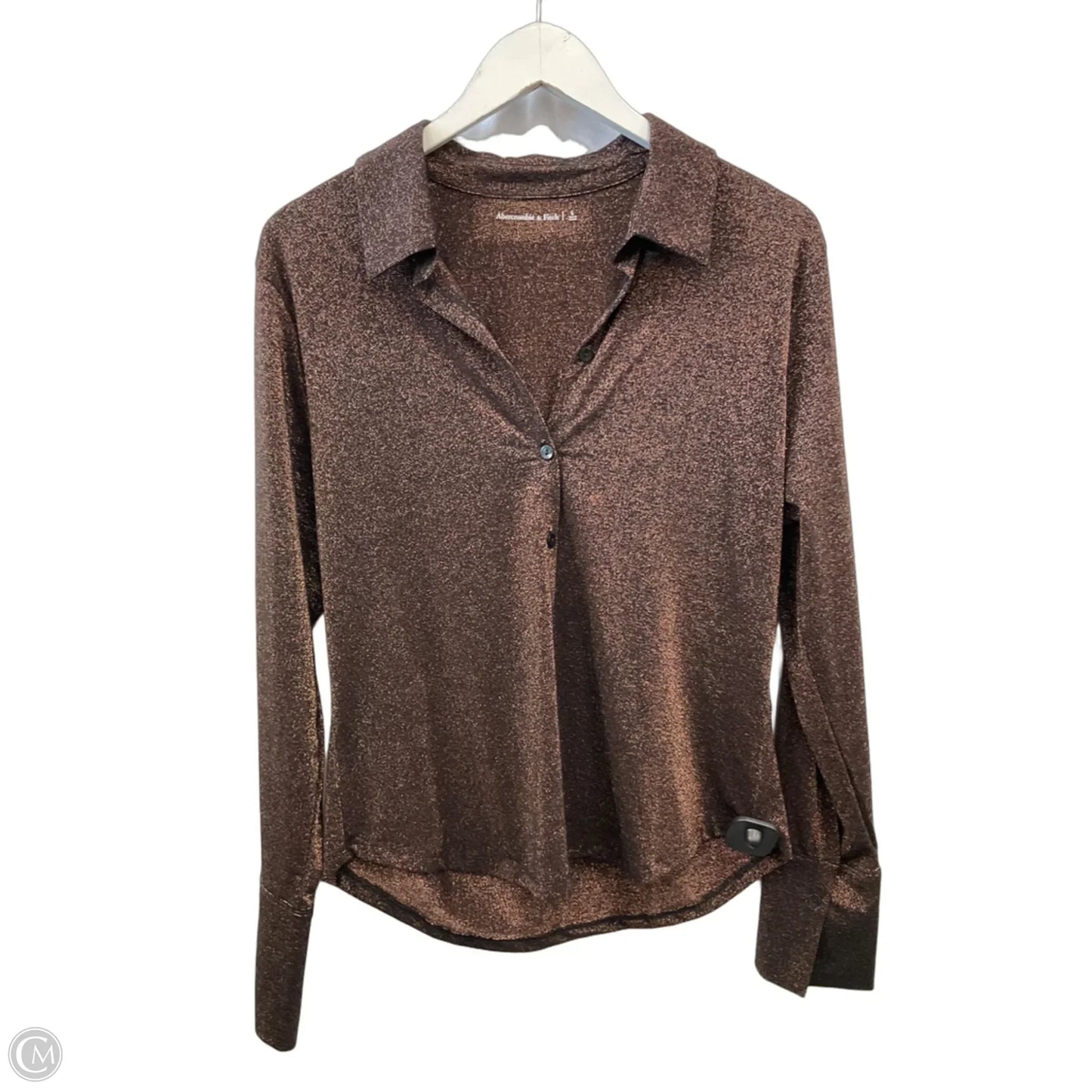 Top Long Sleeve By Abercrombie And Fitch In Bronze, Size: L