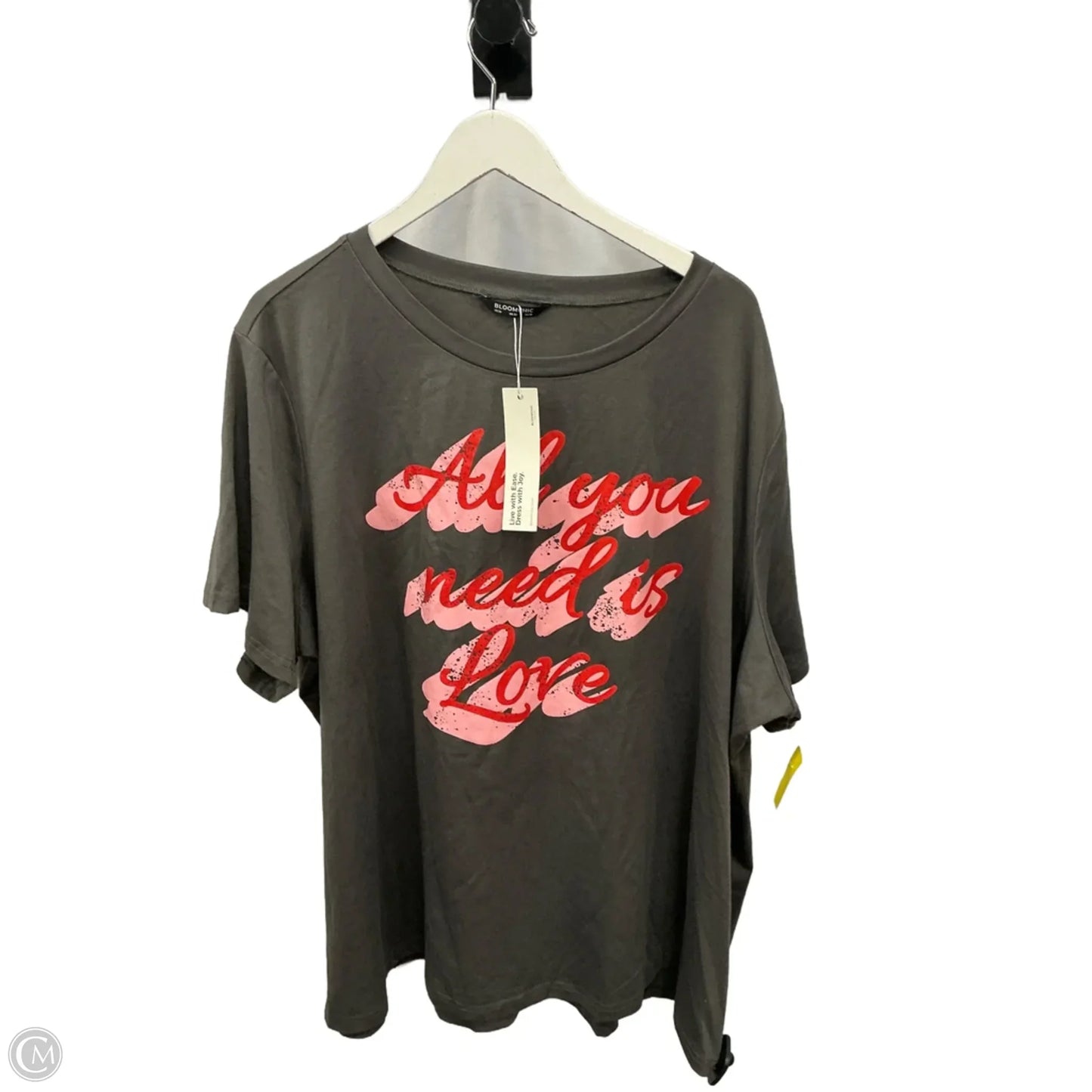 Top Short Sleeve By Clothes Mentor In Grey, Size: 4x