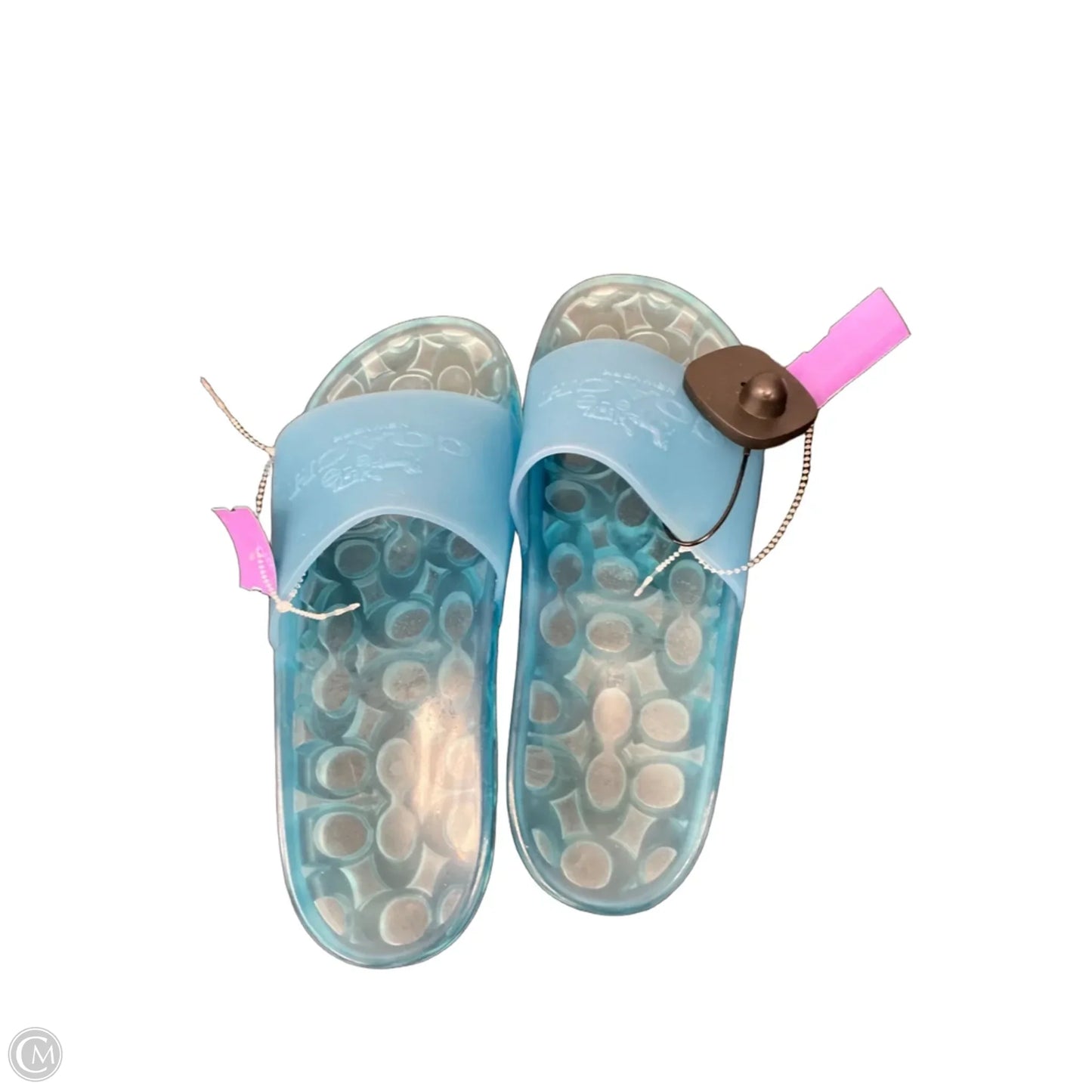 Sandals Designer By Coach In Blue, Size: 9