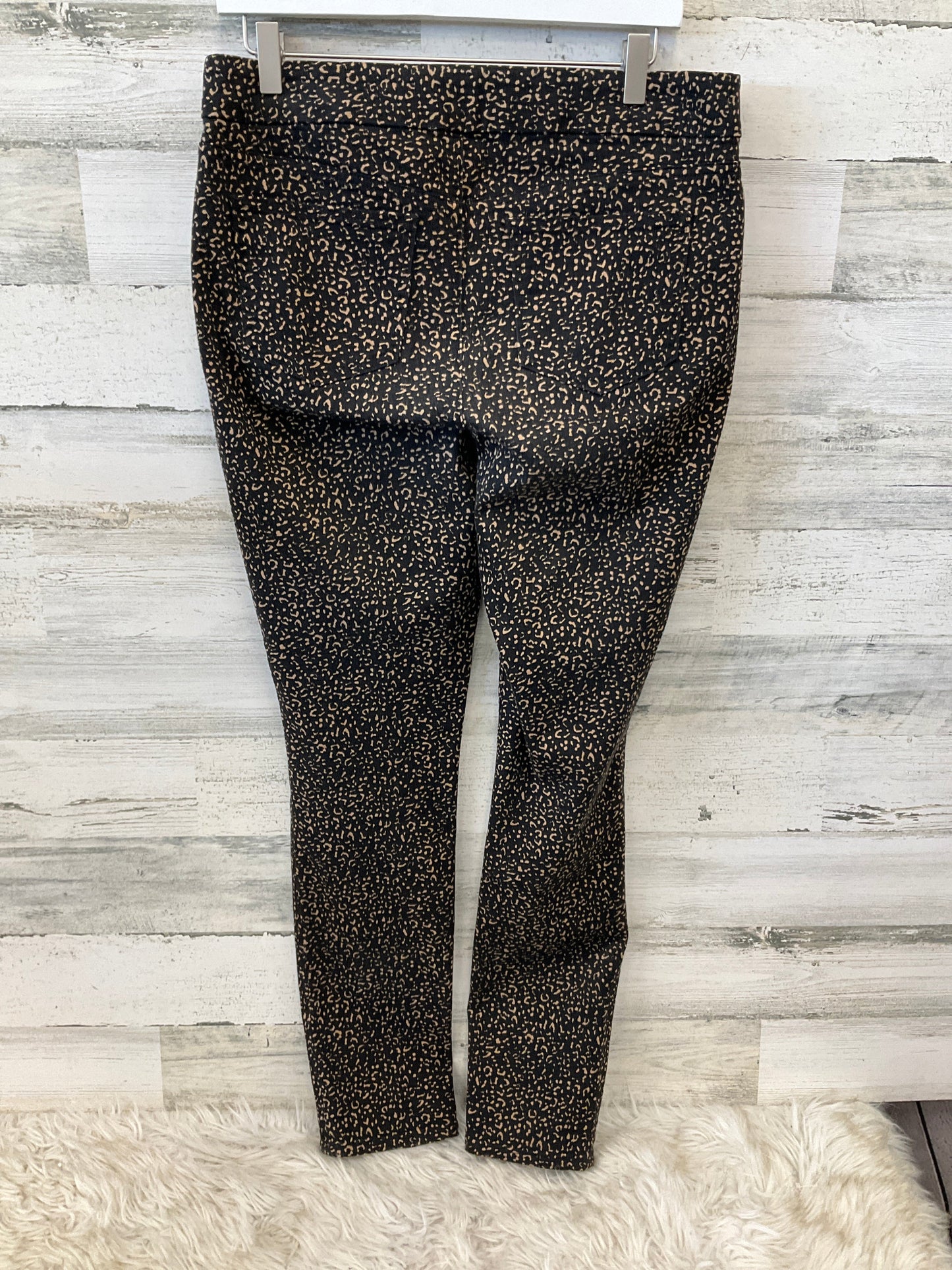 Pants Leggings By Chicos In Black & Brown, Size: S