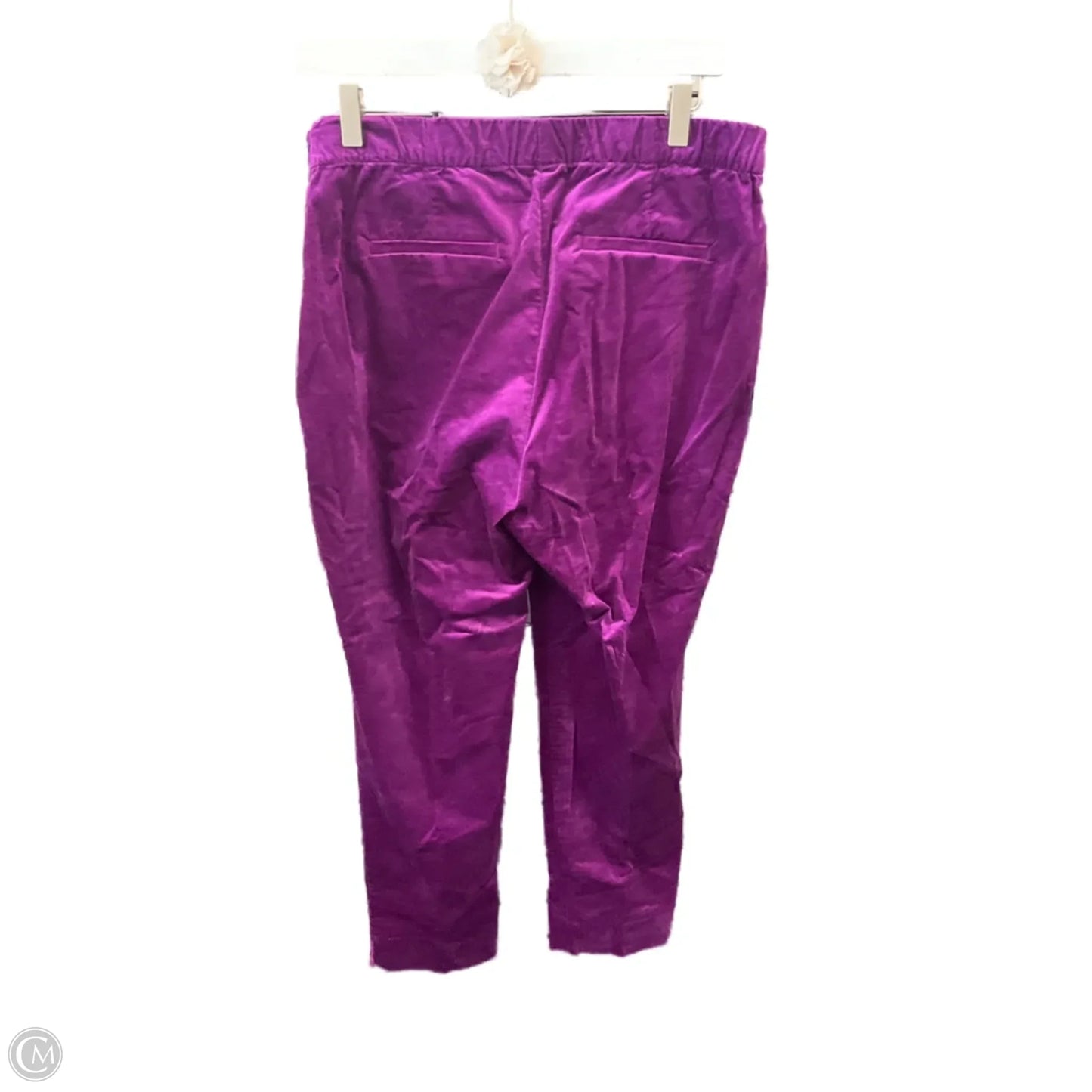 Pants Other By J. Jill In Purple, Size: 12