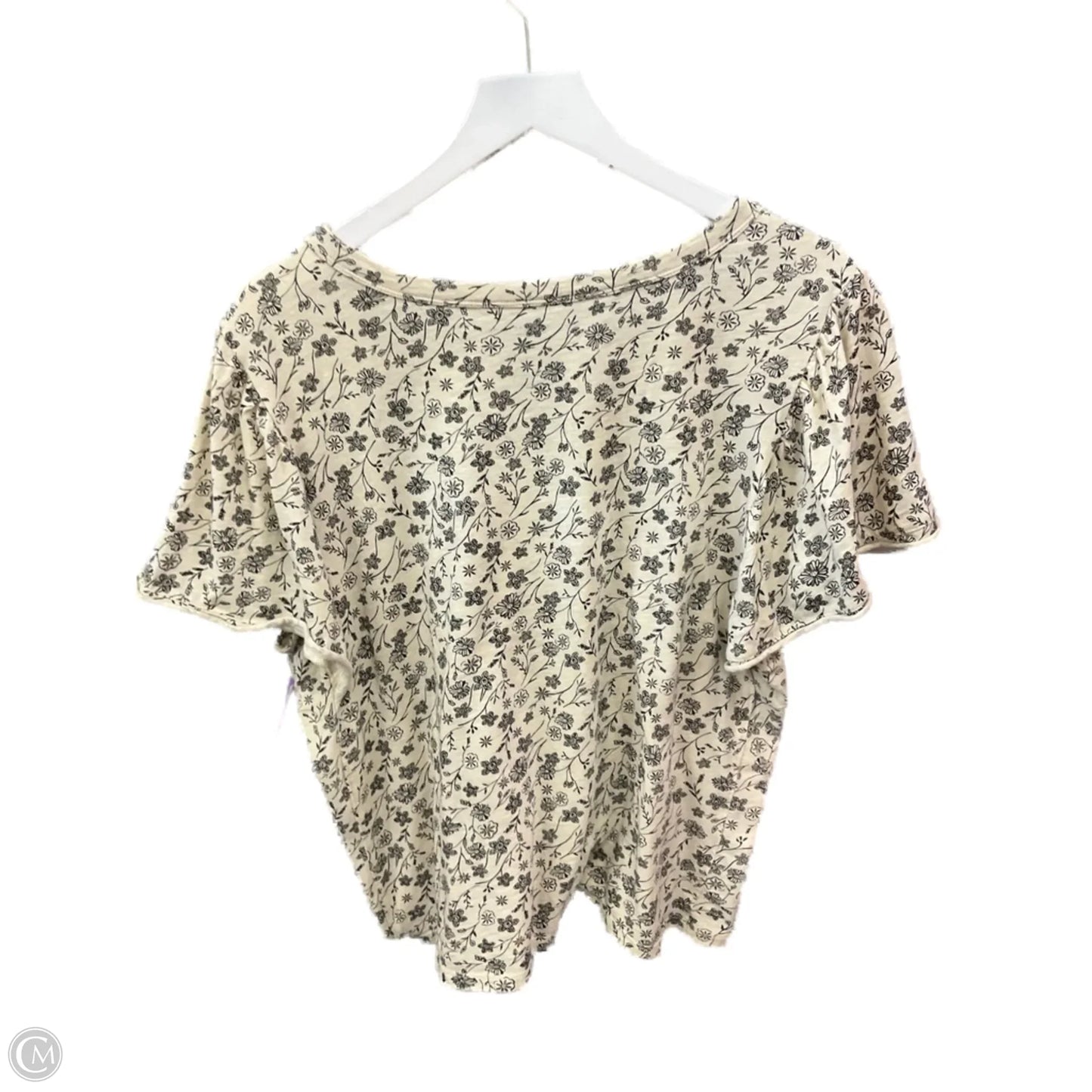 Top Short Sleeve By Sonoma In Cream & Grey, Size: Xl
