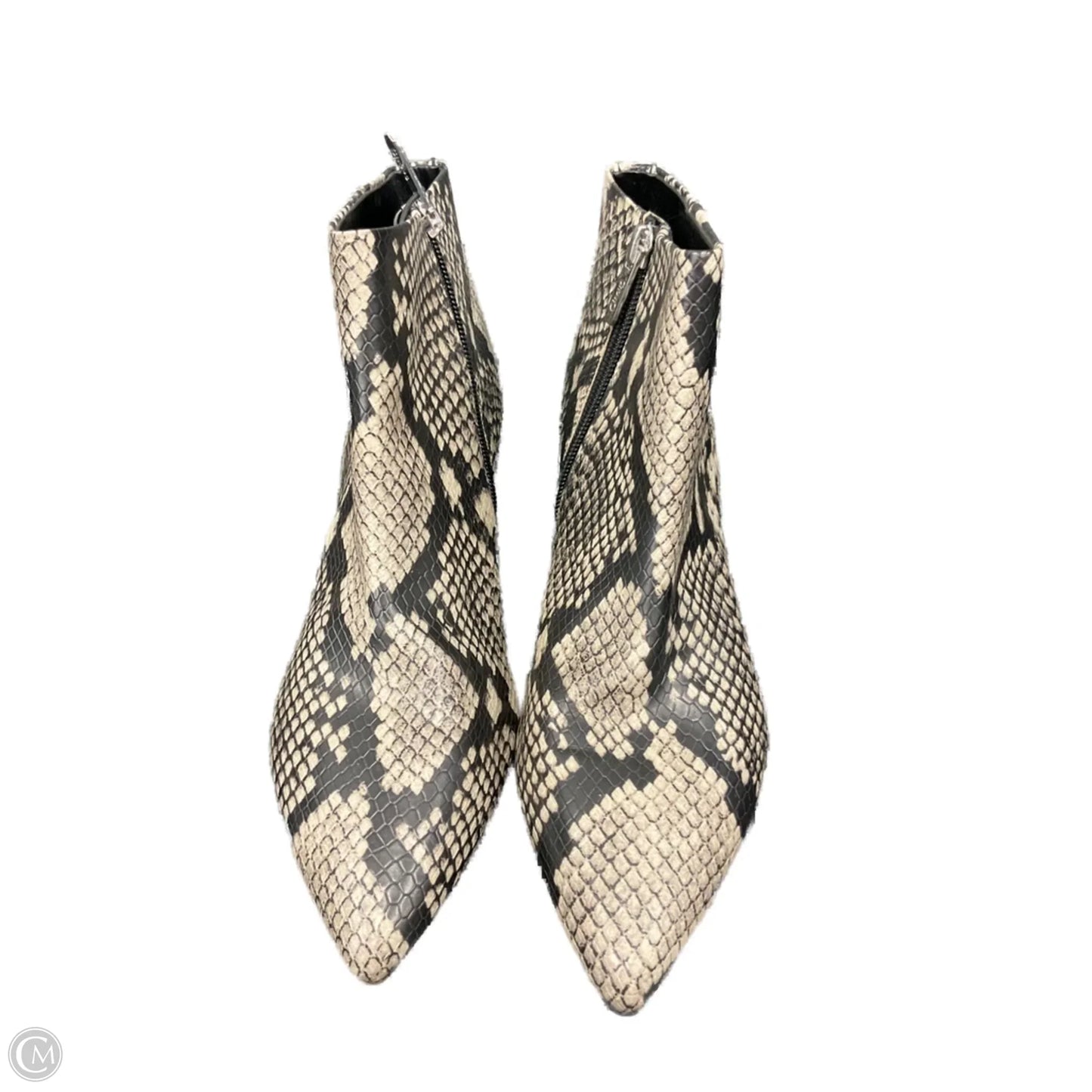 Boots Ankle Heels By Circus By Sam Edelman In Snakeskin Print, Size: 6.5