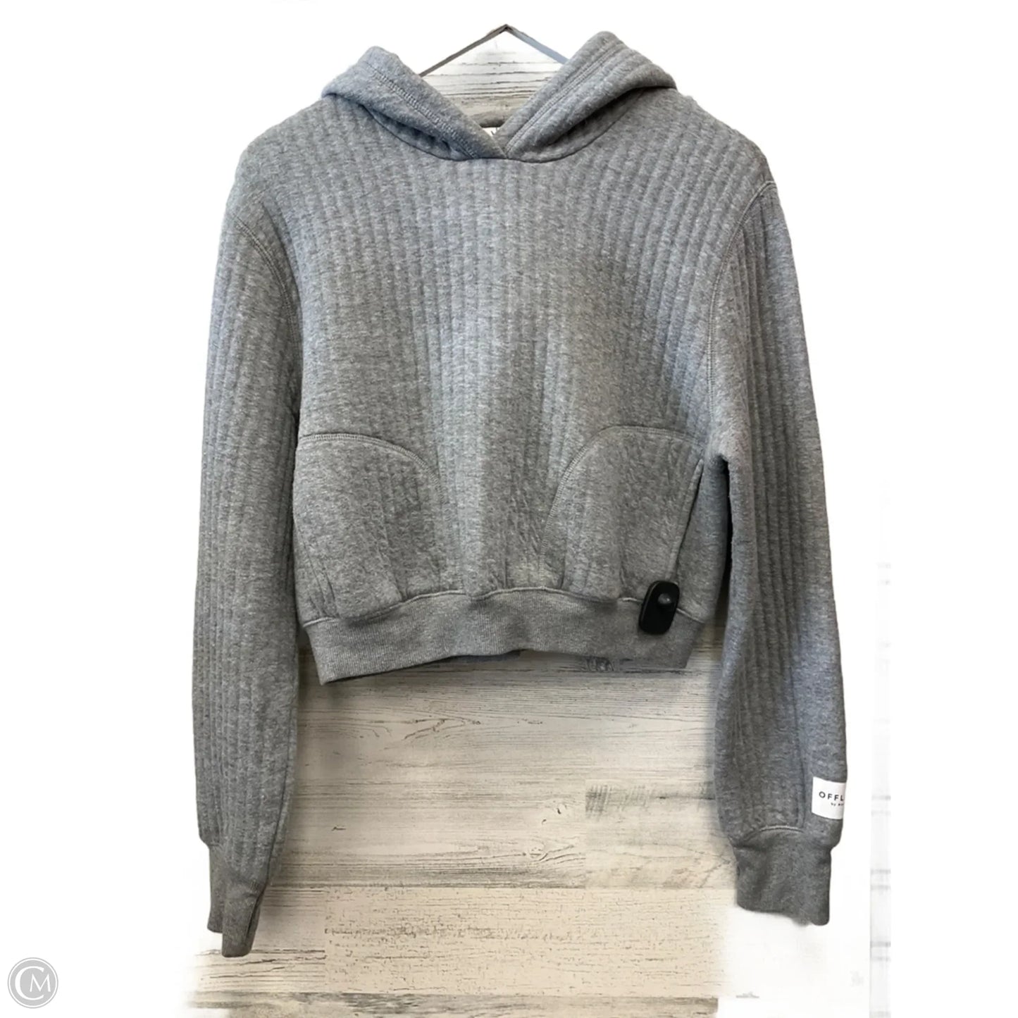 Sweatshirt Hoodie By Aerie In Grey, Size: Xs